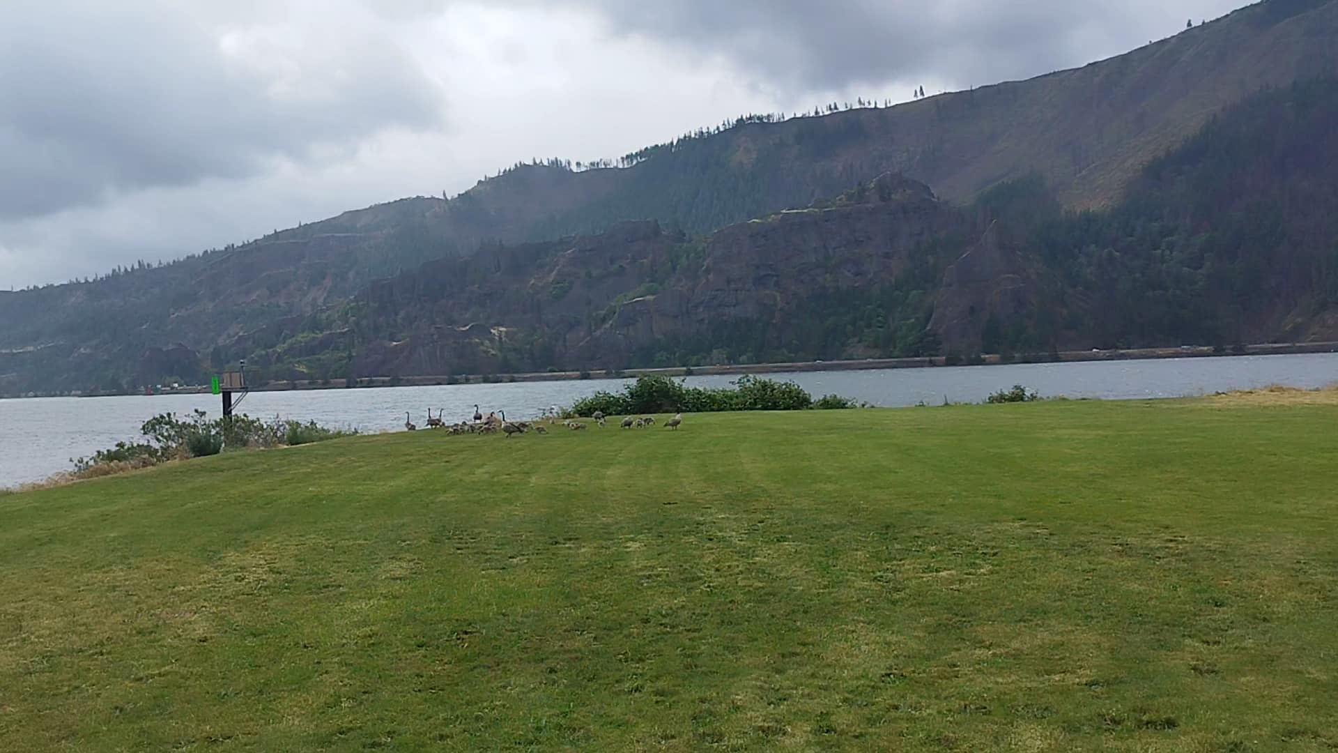 Sailboard Park - Cook, WA