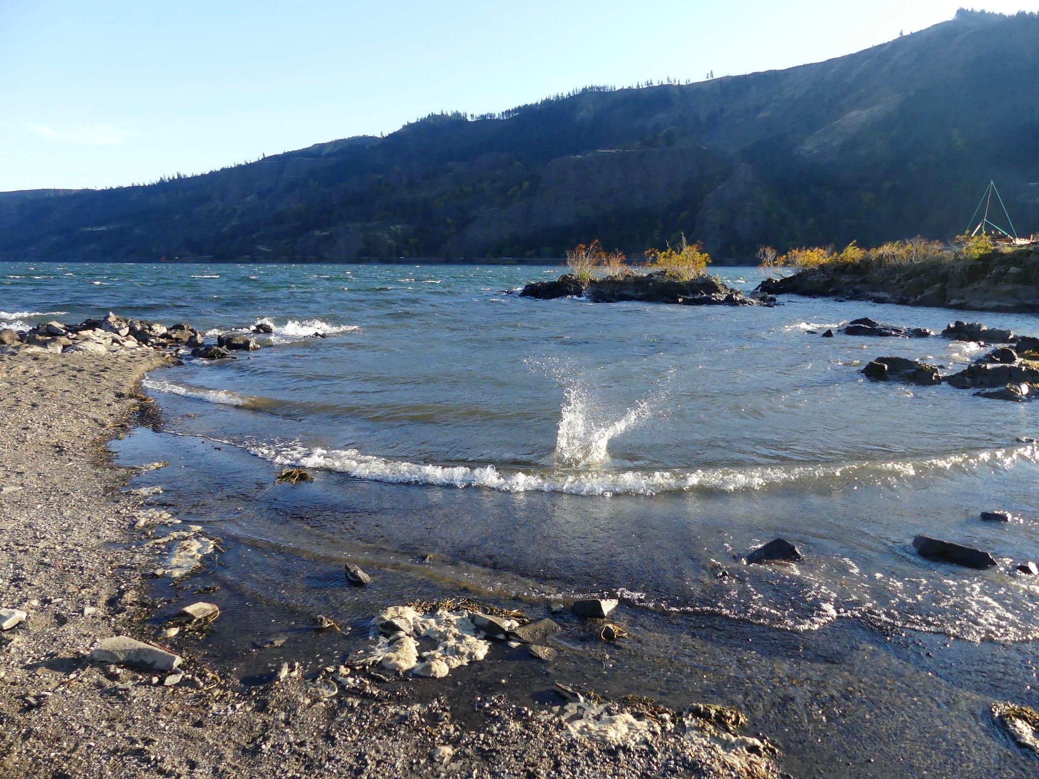 Sailboard Park - Cook, WA