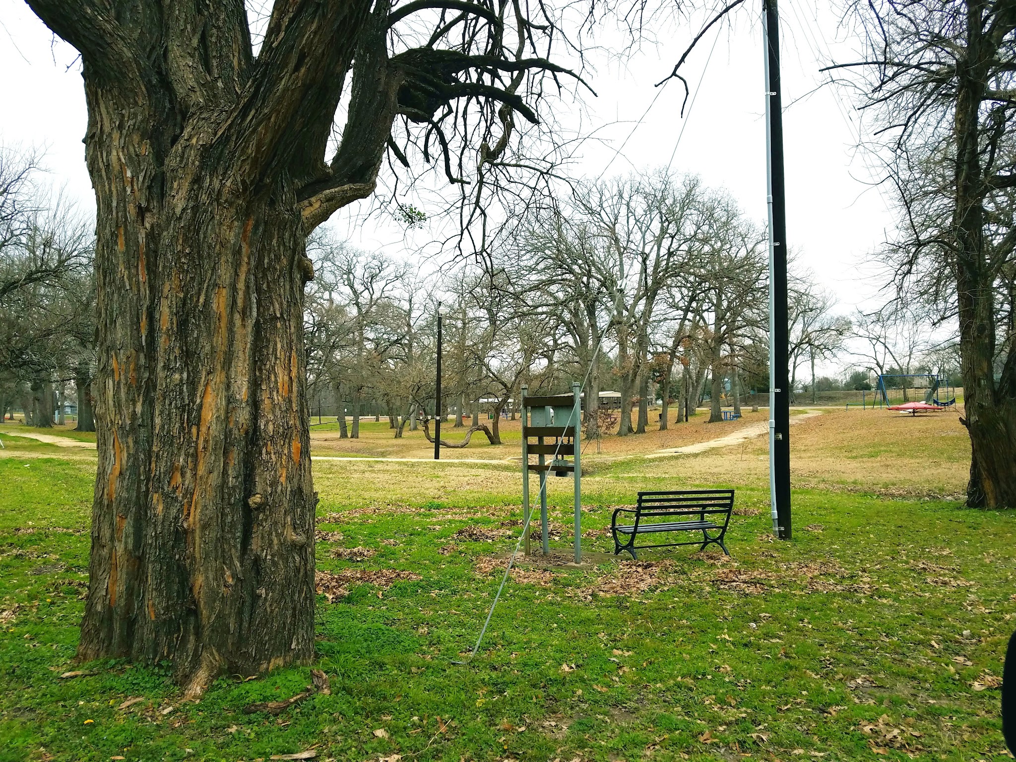 Harmon Park - Cooper, TX