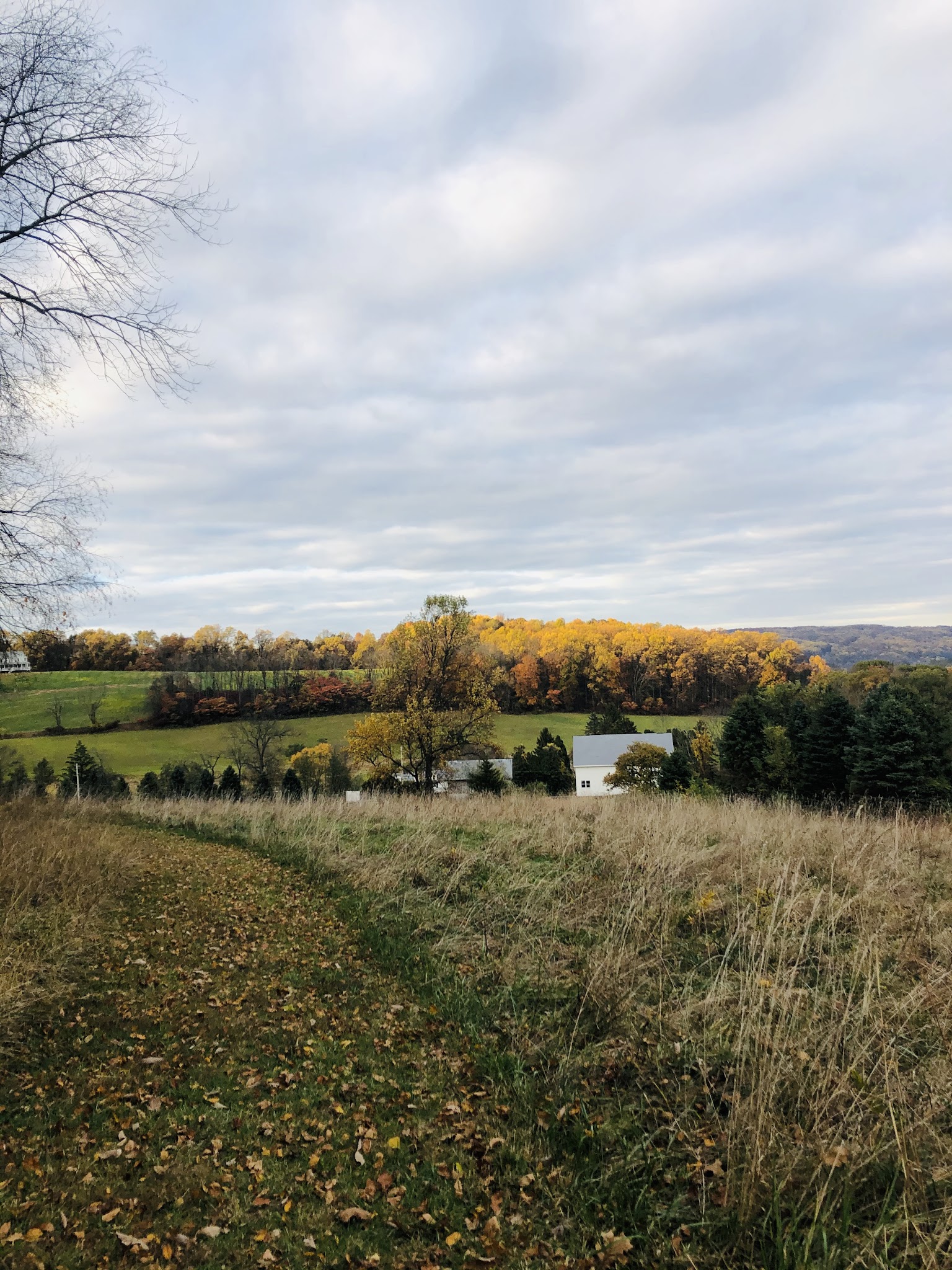 Peppermint Road Park - Coopersburg, PA