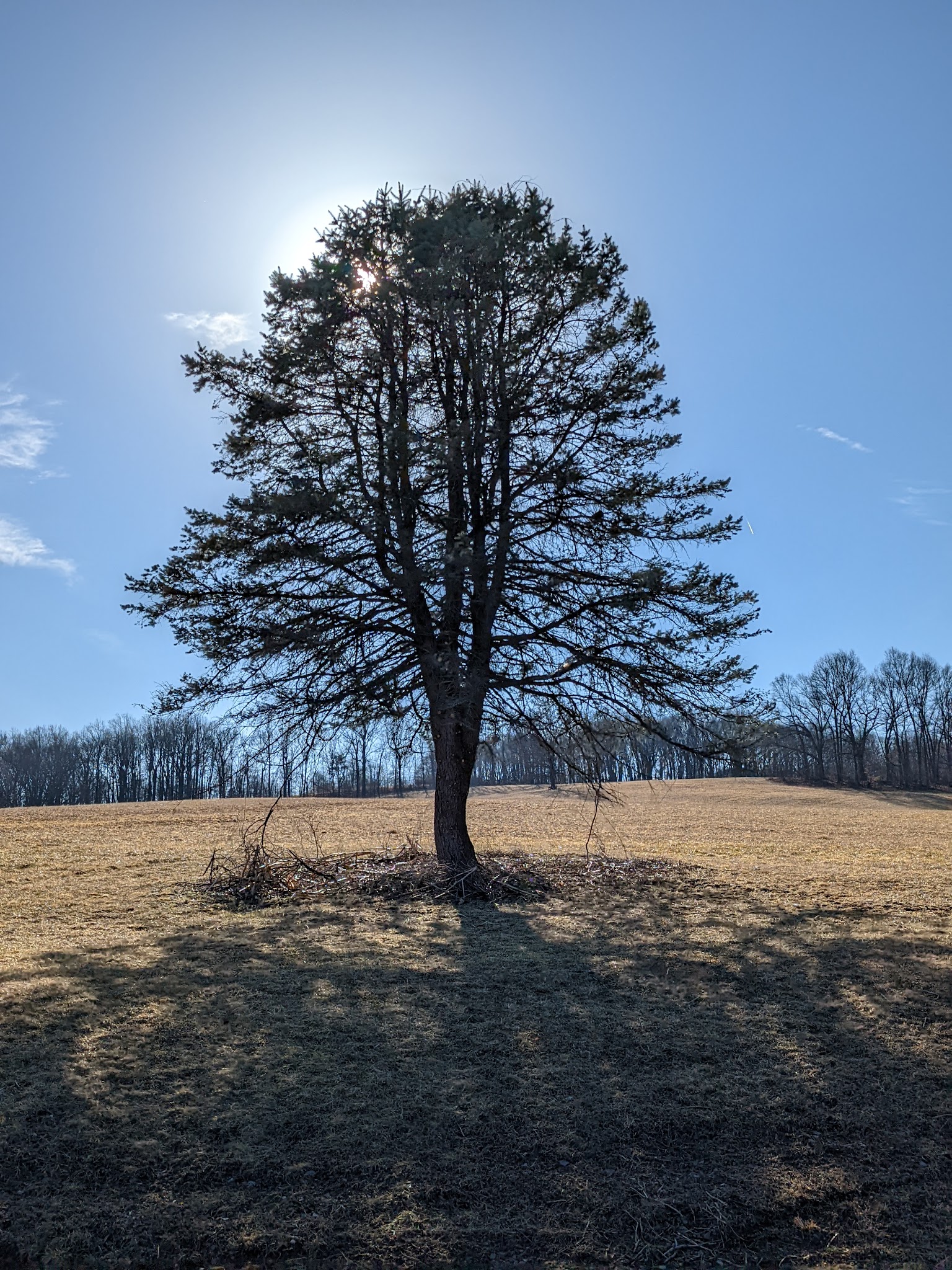 Peppermint Road Park - Coopersburg, PA
