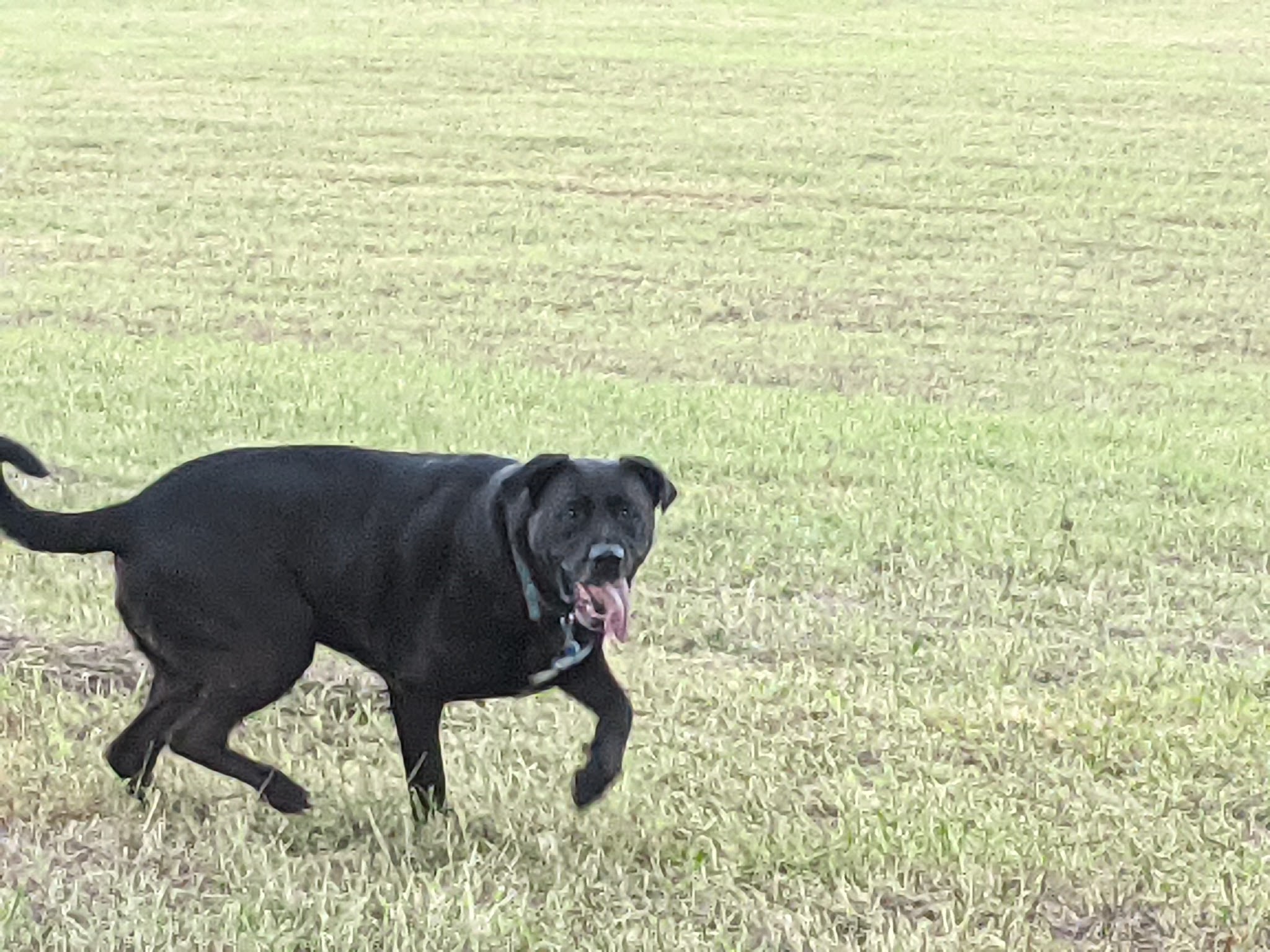 Peppermint Road Park - Coopersburg, PA