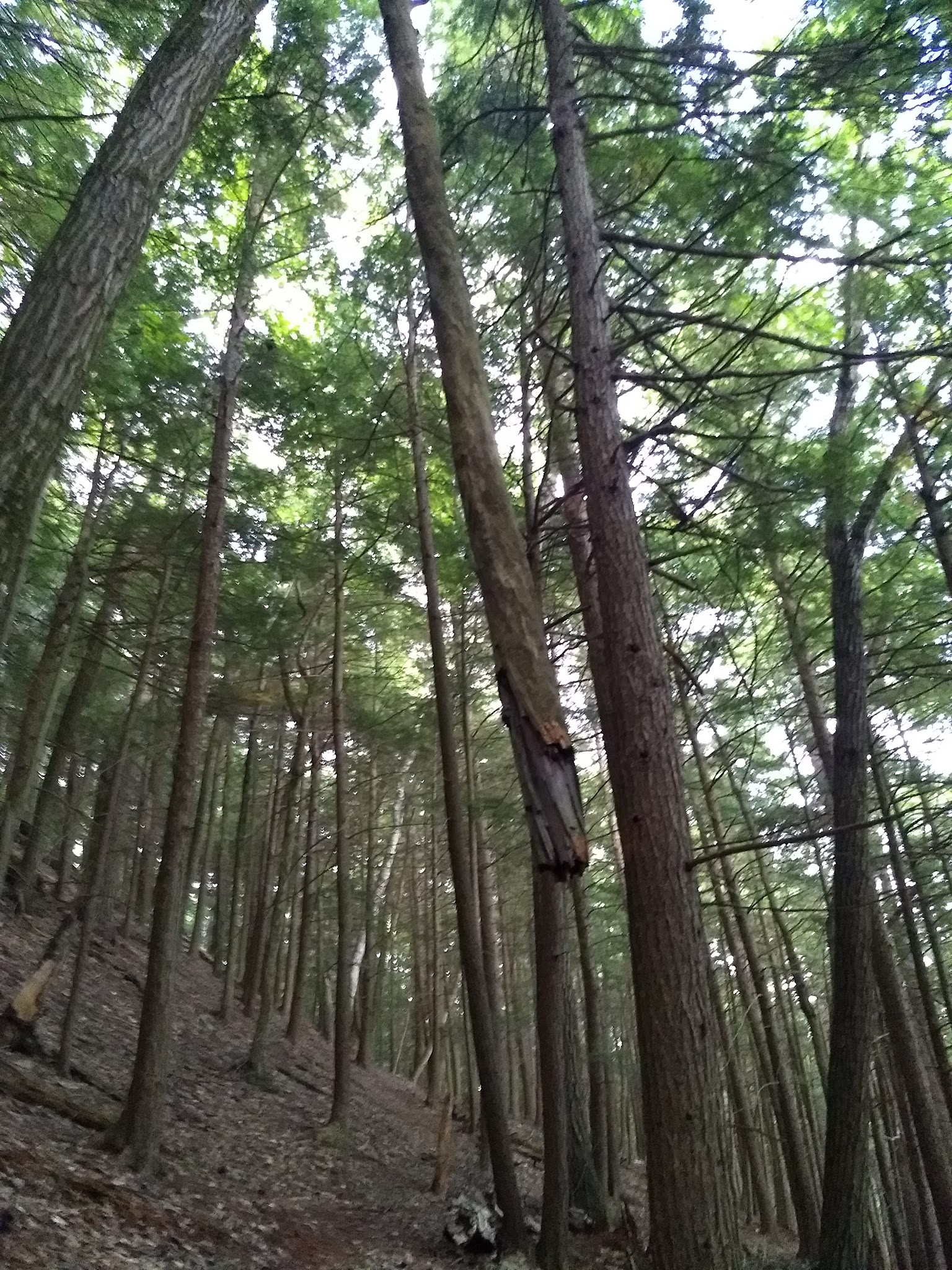 Fairy Springs Park - Cooperstown, NY