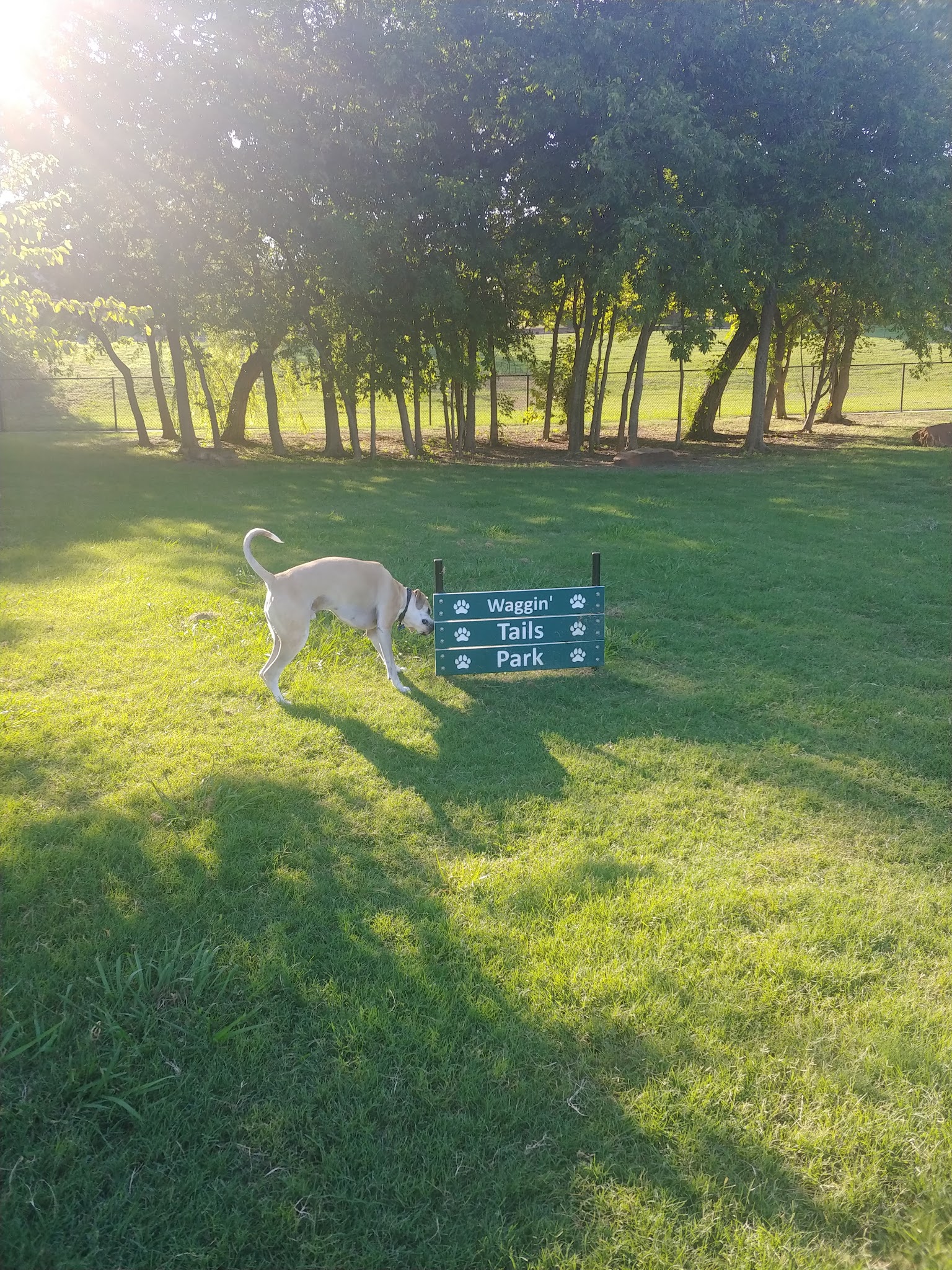 Coppell Dog Park - Coppell, TX