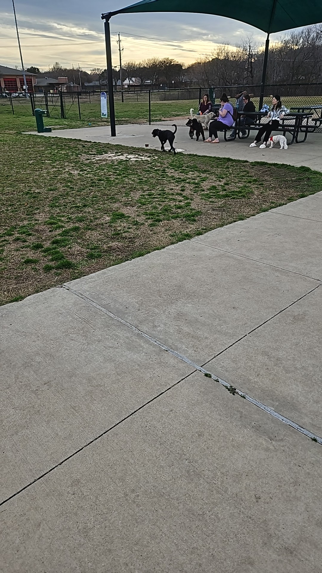 Coppell Dog Park - Coppell, TX