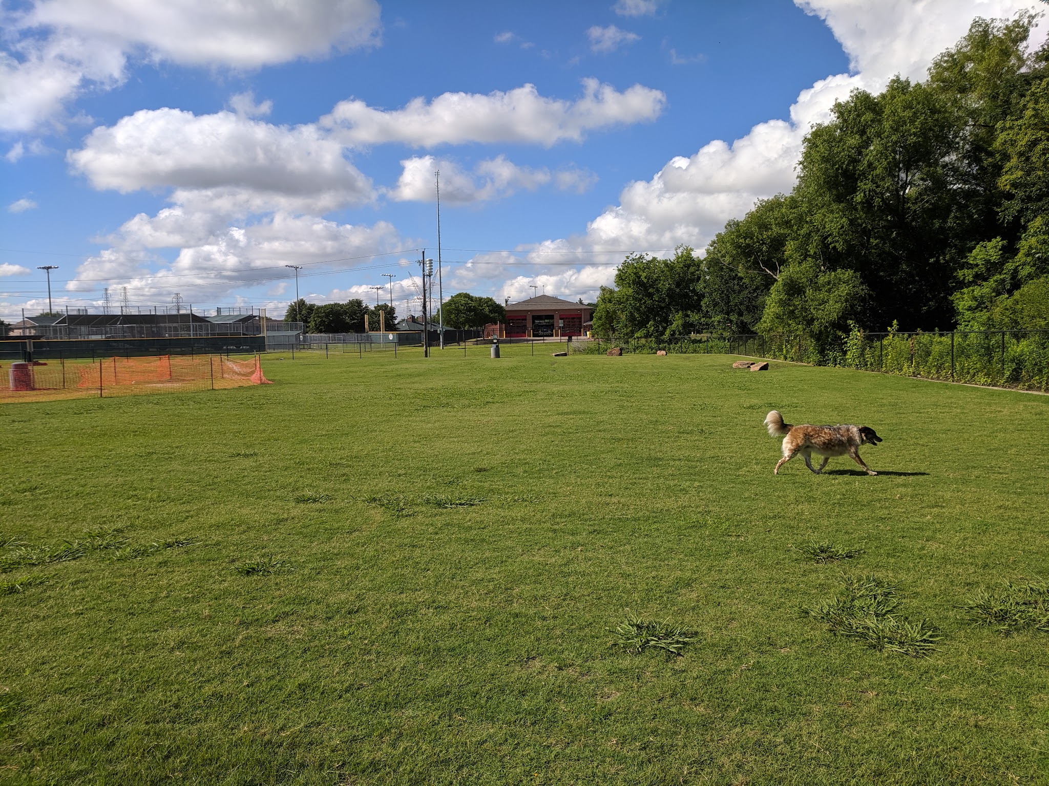 Coppell Dog Park - Coppell, TX