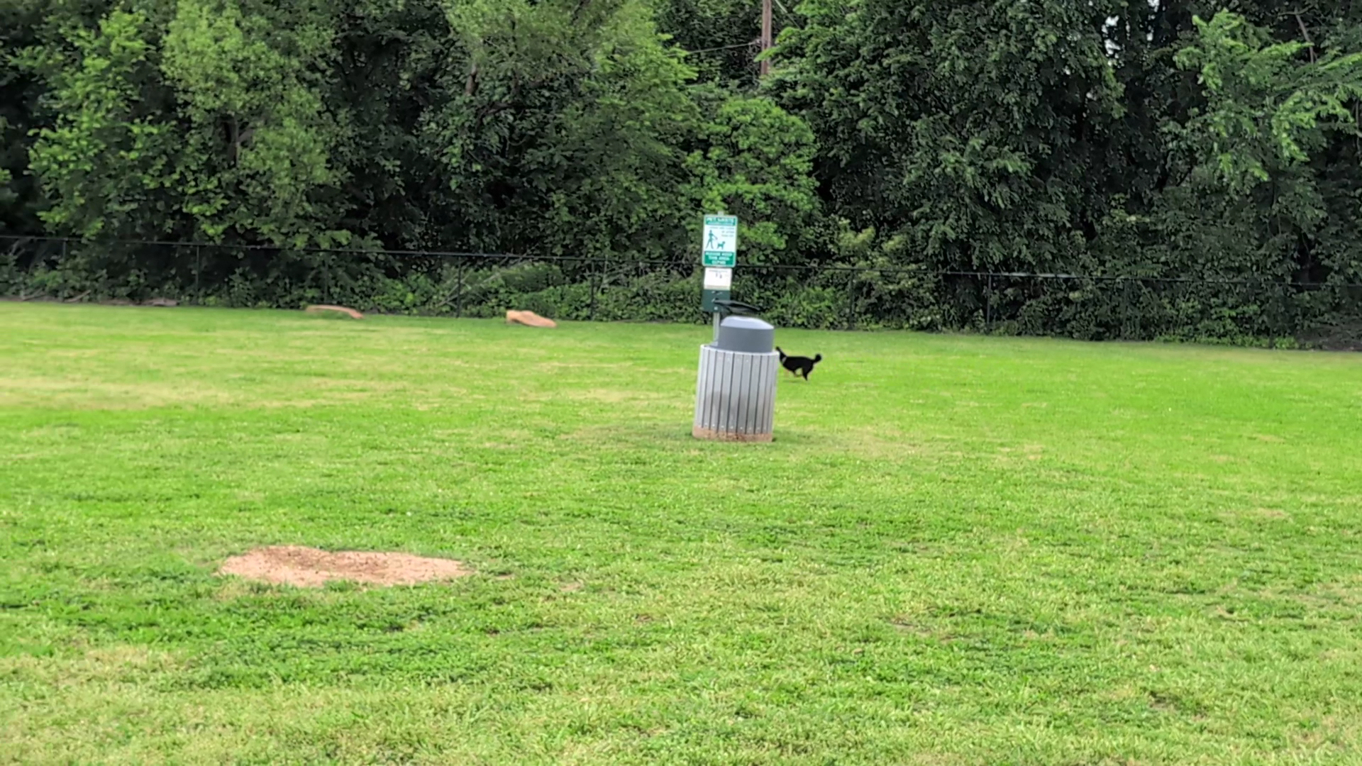 Coppell Dog Park - Coppell, TX