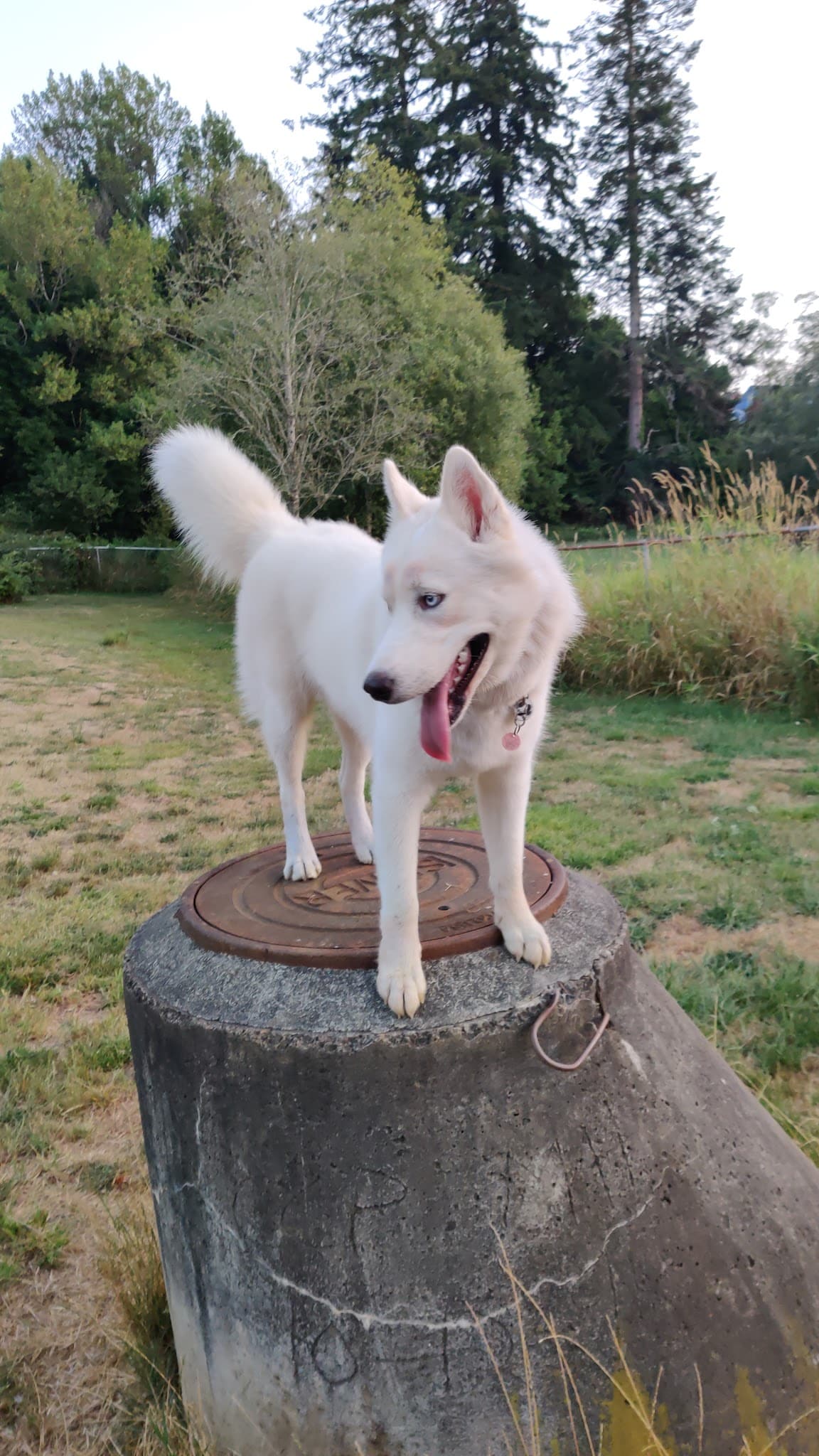 5th Street Park - Coquille, OR