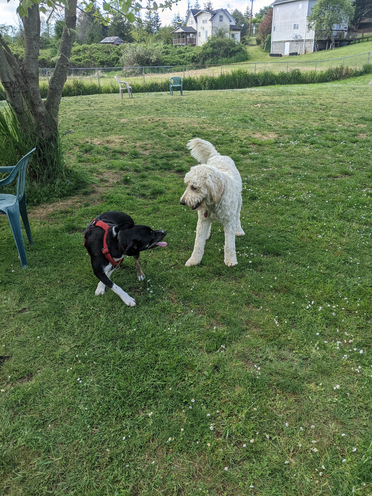 5th Street Park - Coquille, OR