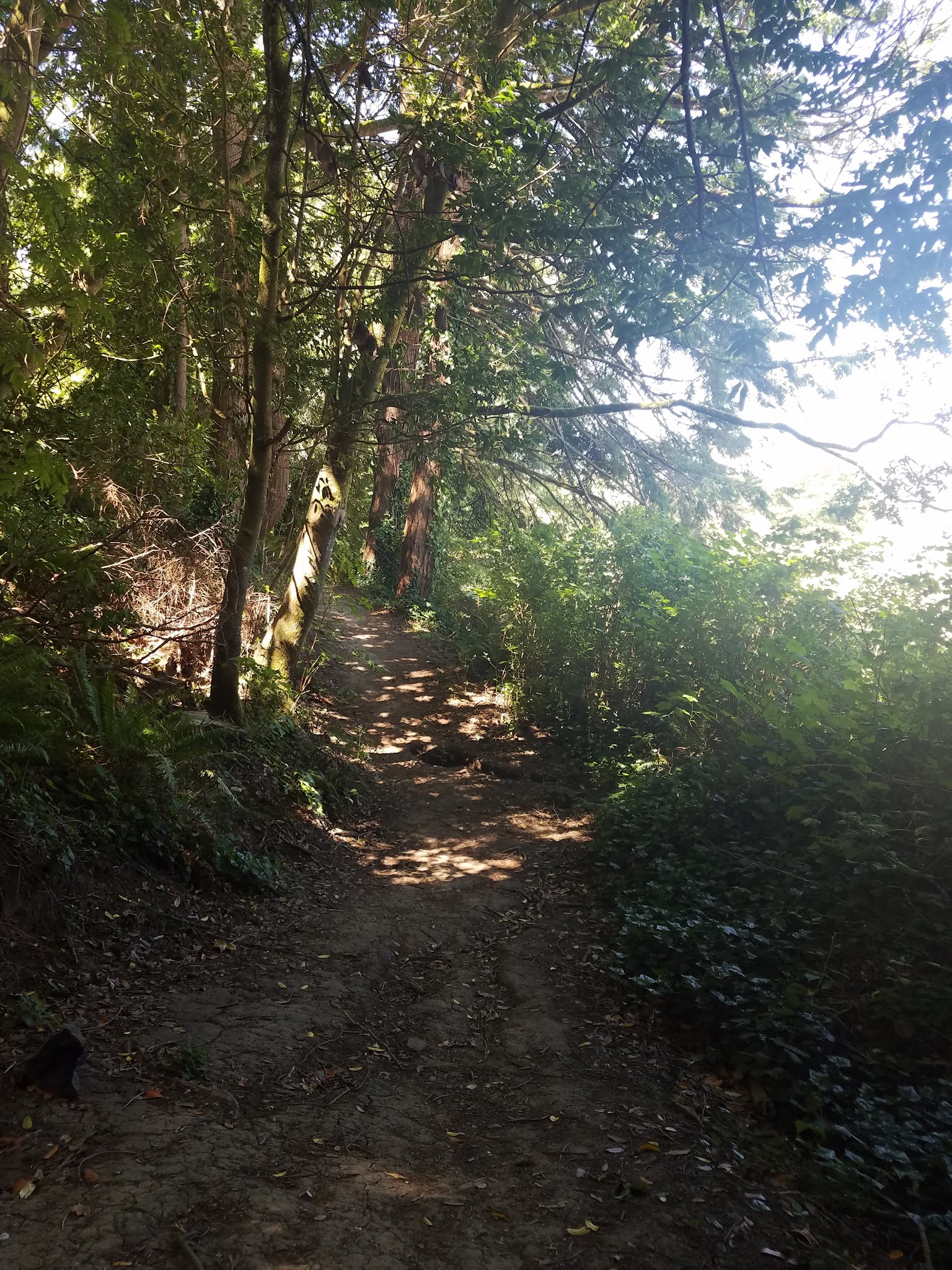 5th Street Park - Coquille, OR