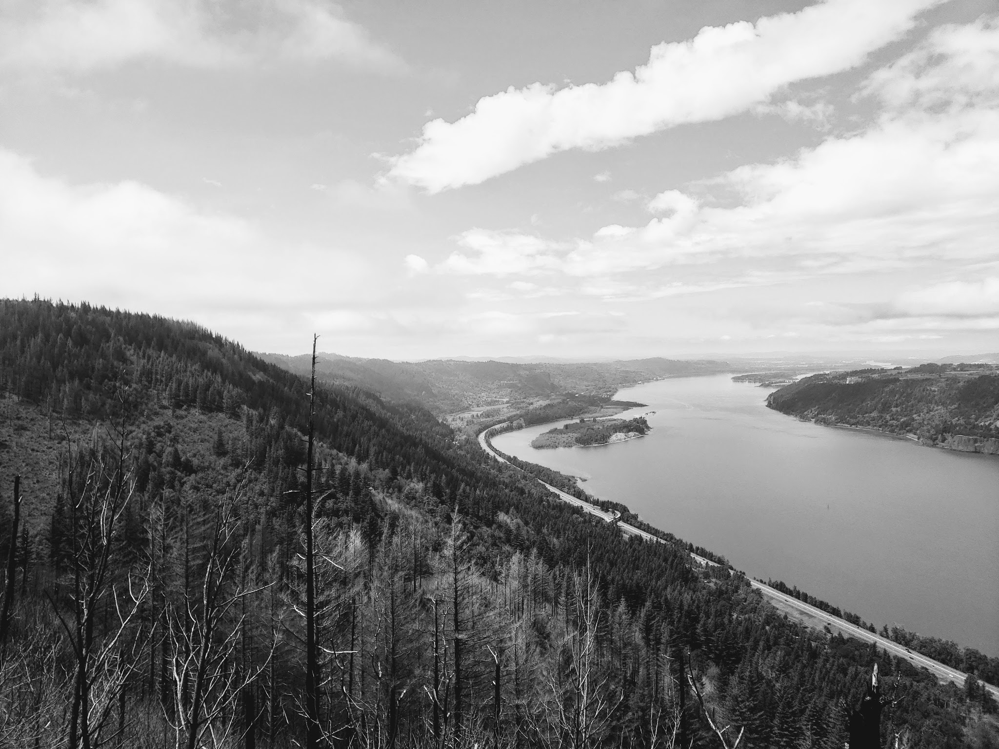 Angel's Rest Lookout - Corbett, OR