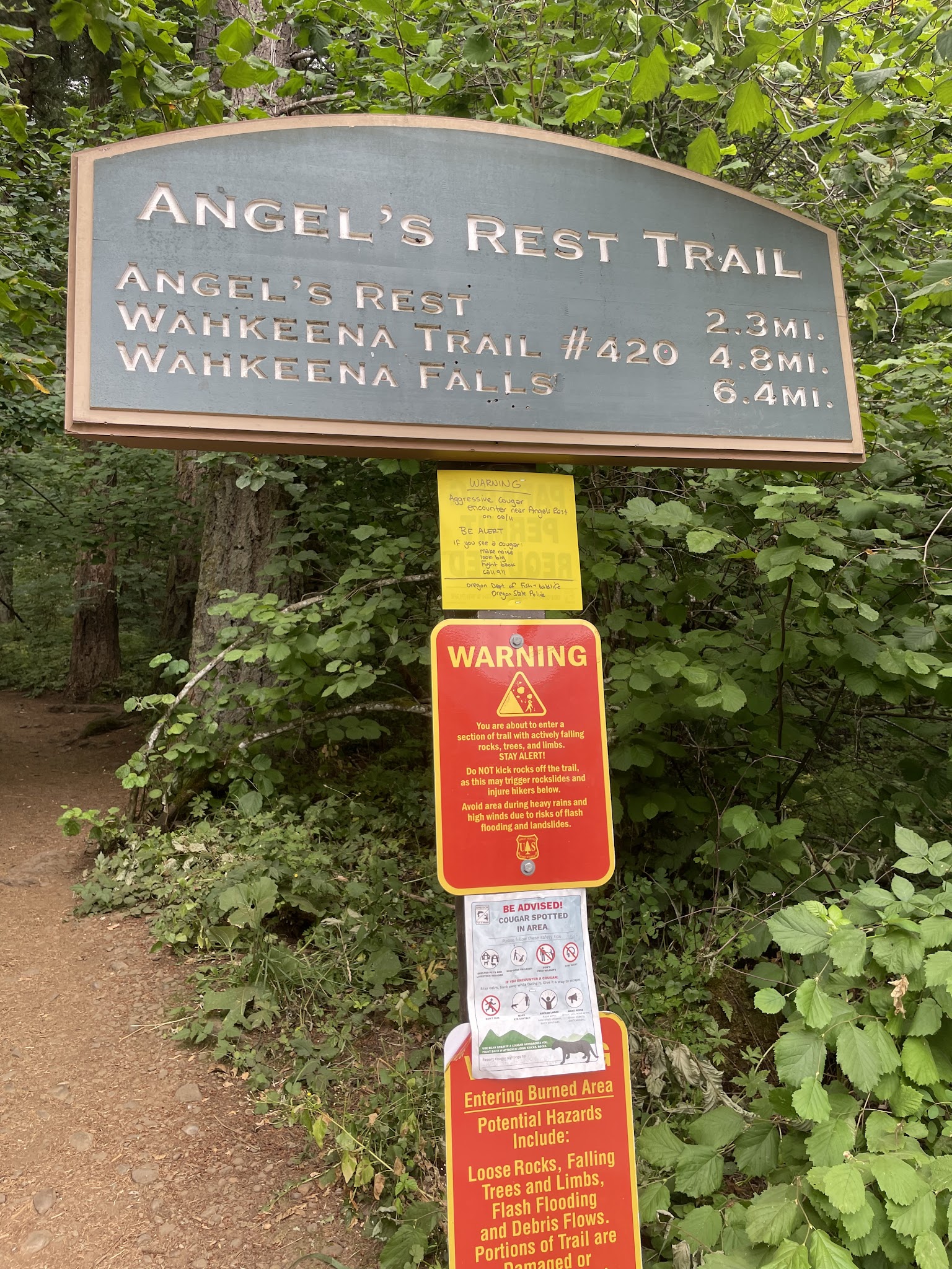 Angel's Rest Trailhead - Corbett, OR
