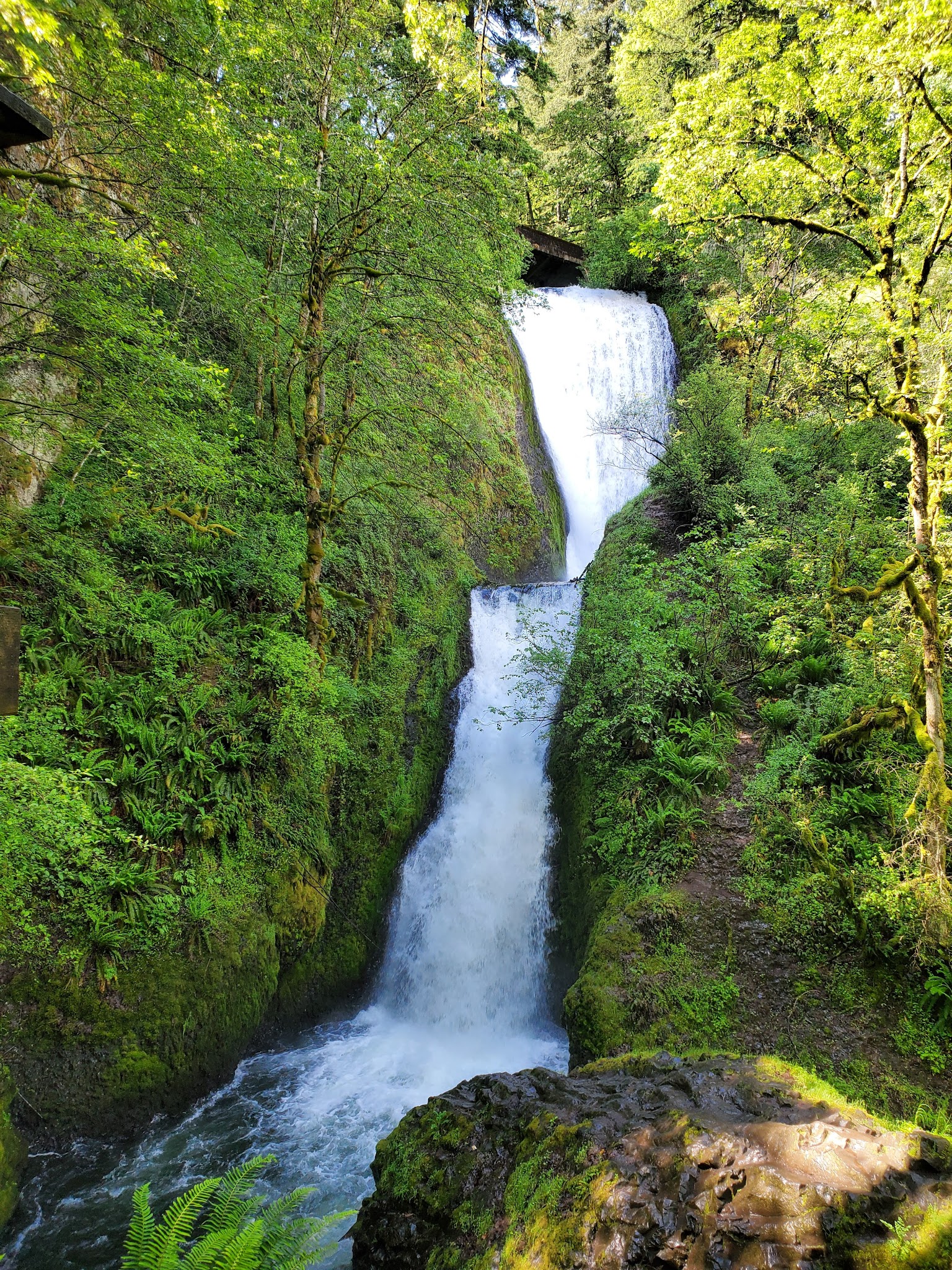 Bridal Veil Falls State Scenic Viewpoint - Corbett, OR