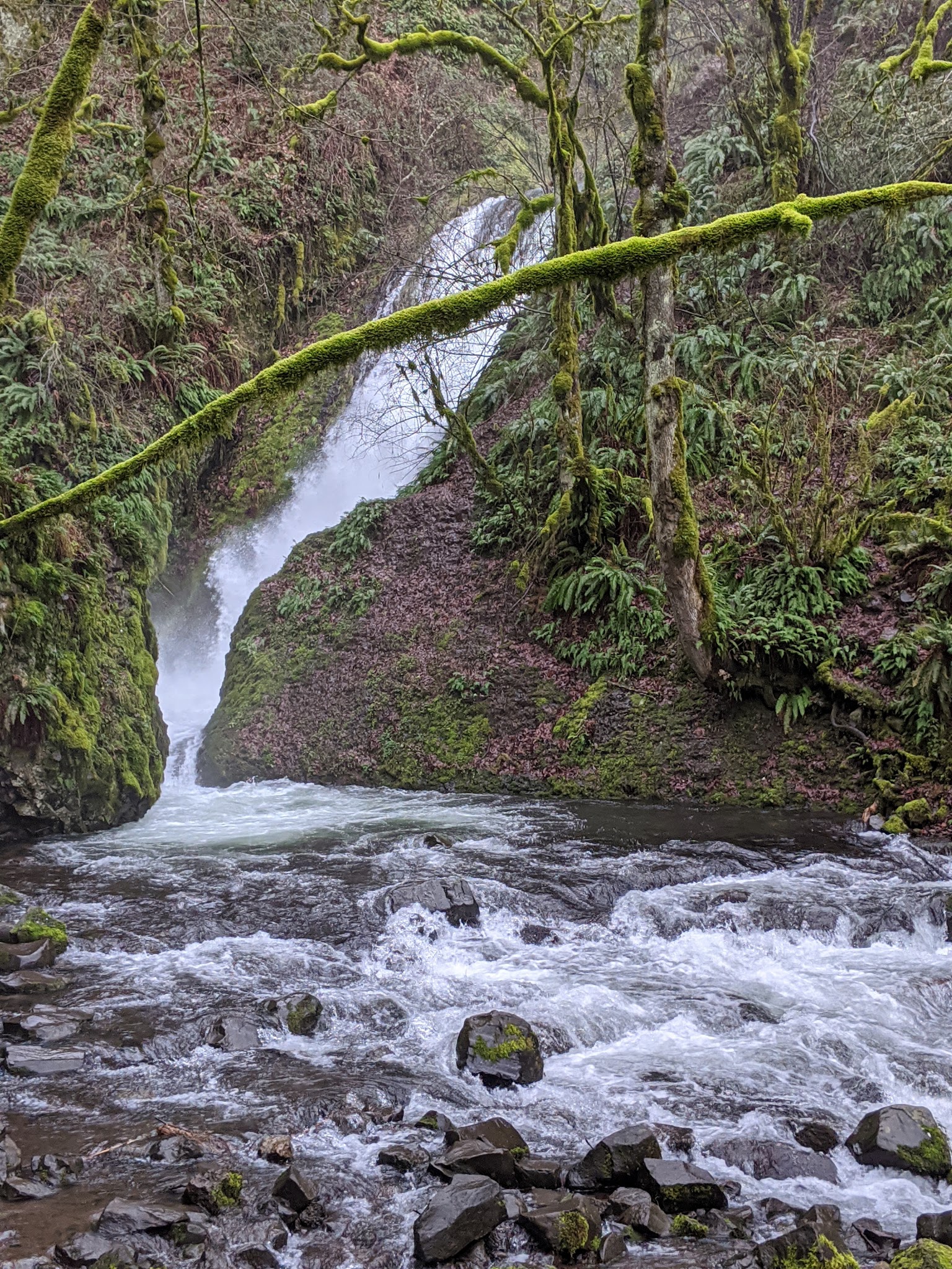 Bridal Veil Falls State Scenic Viewpoint - Corbett, OR