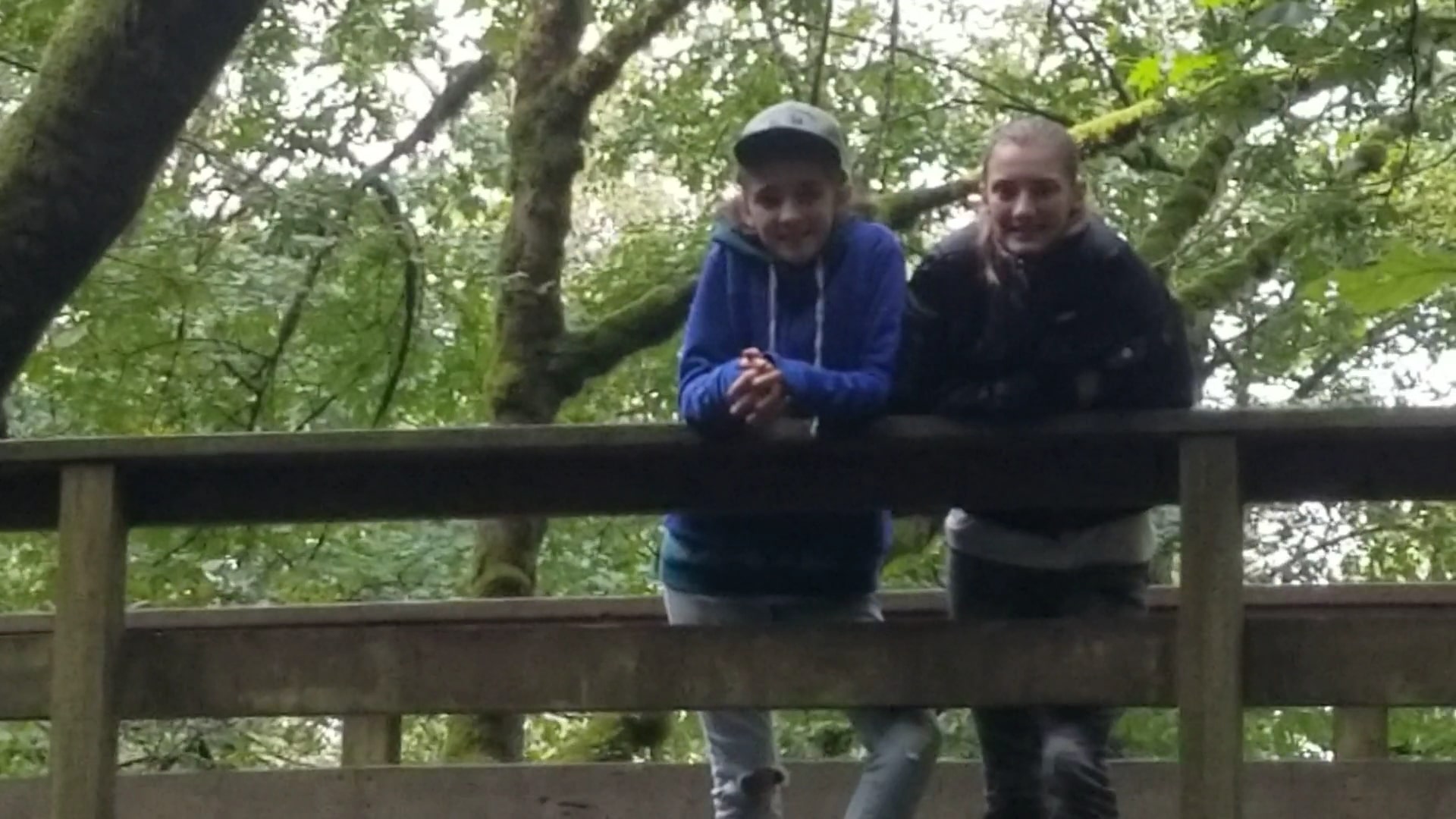 Bridal Veil Falls State Scenic Viewpoint - Corbett, OR