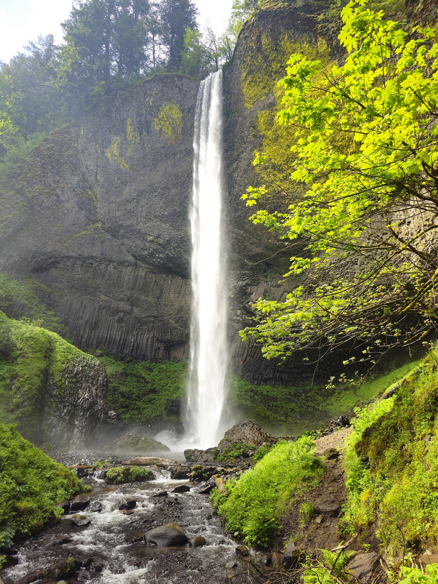 Latourell Falls - Corbett, OR