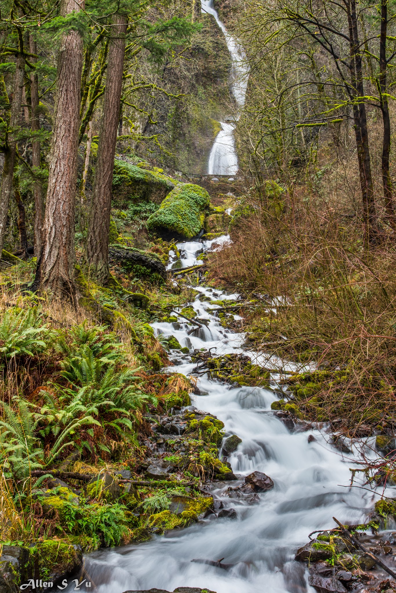 Wahkeena Falls - Corbett, OR