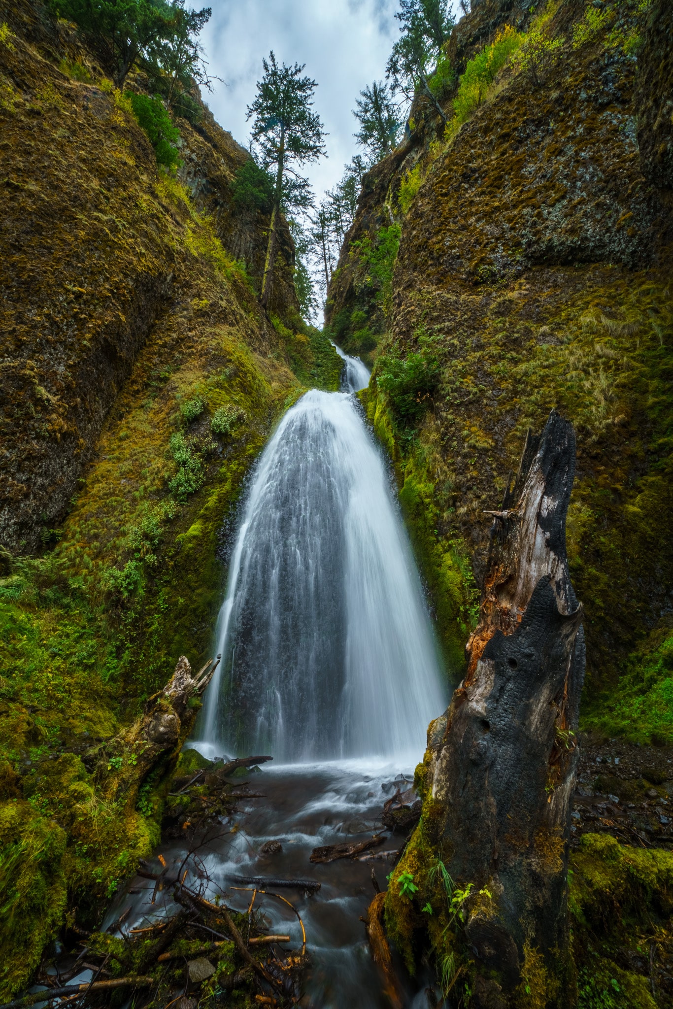 Wahkeena Falls - Corbett, OR
