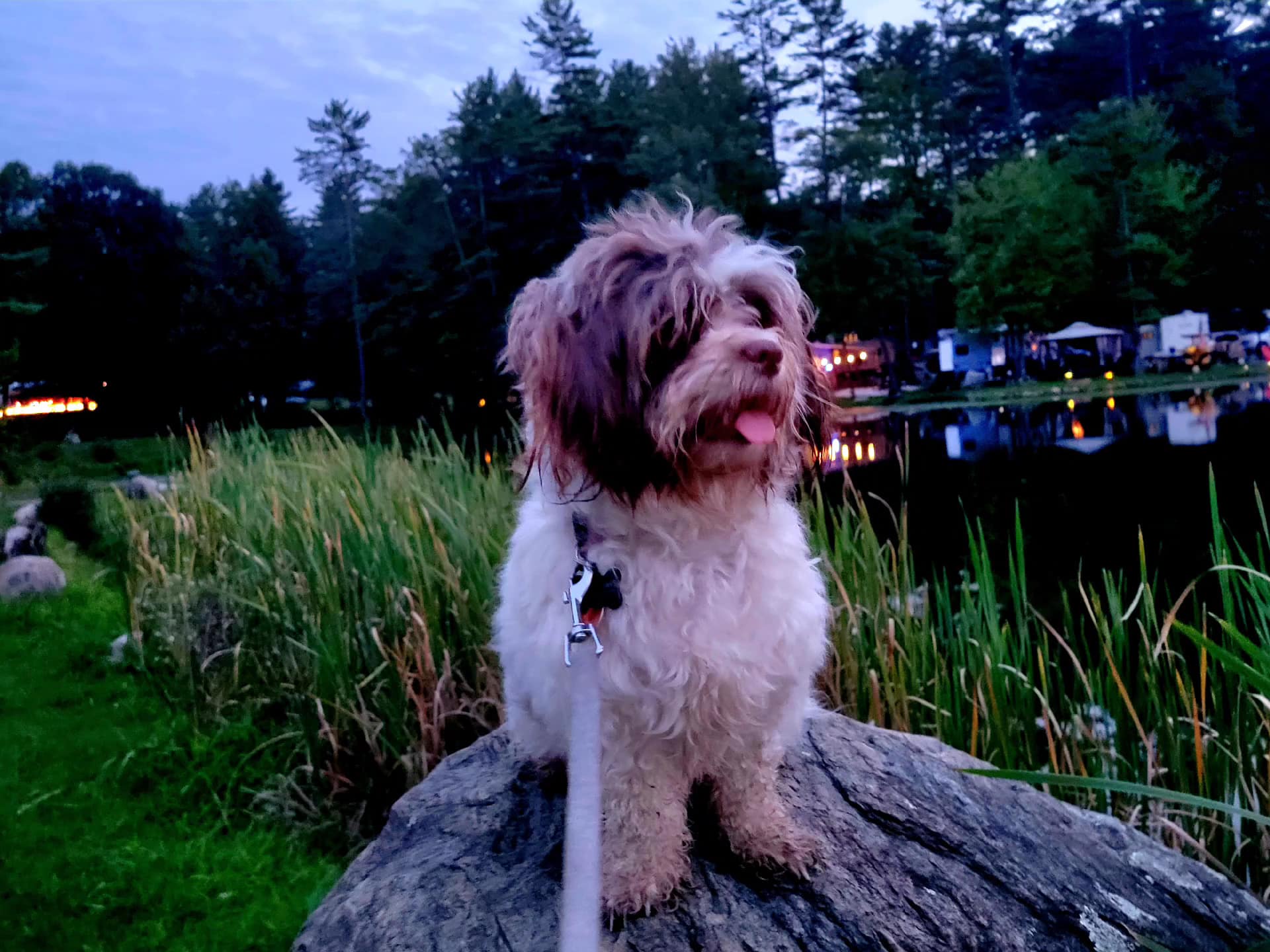 Alpine Lake Campground - Corinth, NY