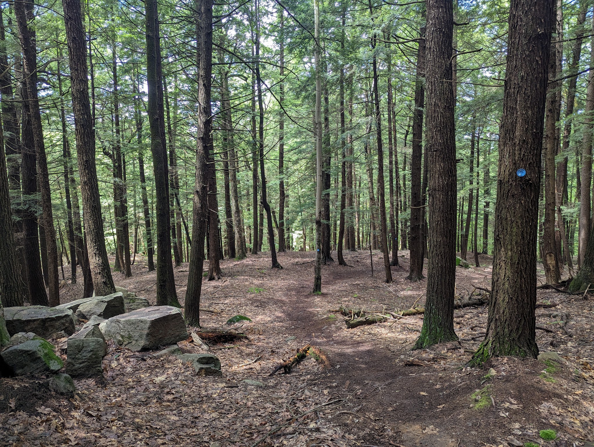 Lake Bonita Trailhead- Moreau Lake State Park - Corinth, NY