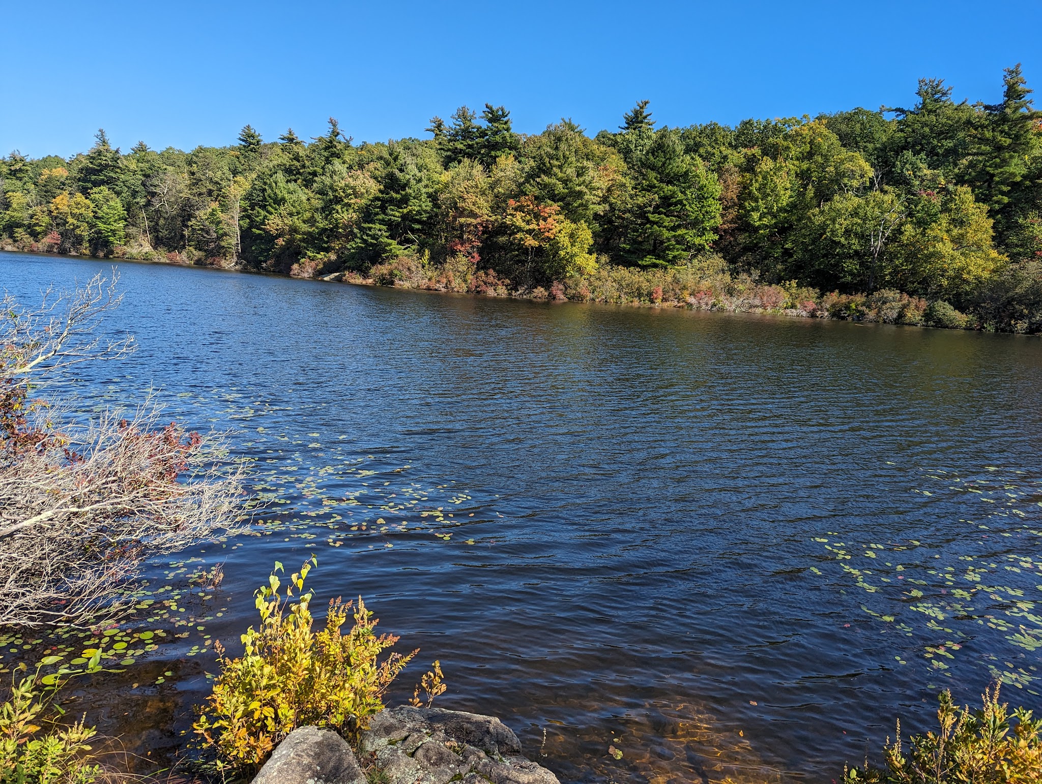 Black Rock Forest - Mine Hill Road Trailhead - Cornwall, NY