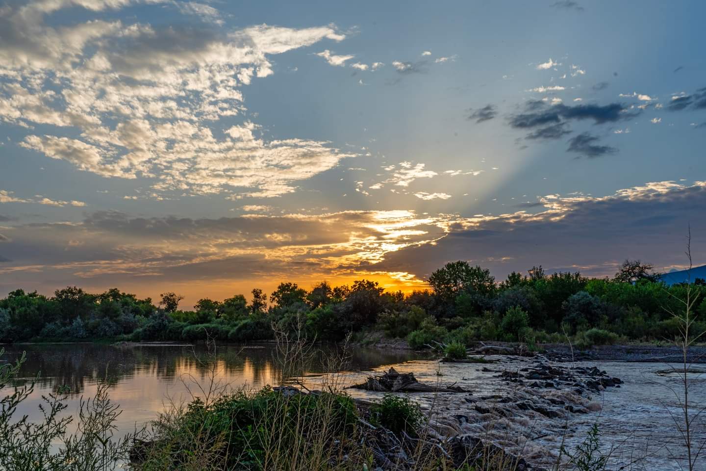 Rio Rancho/Corrales Bosque Preserve - Corrales, NM