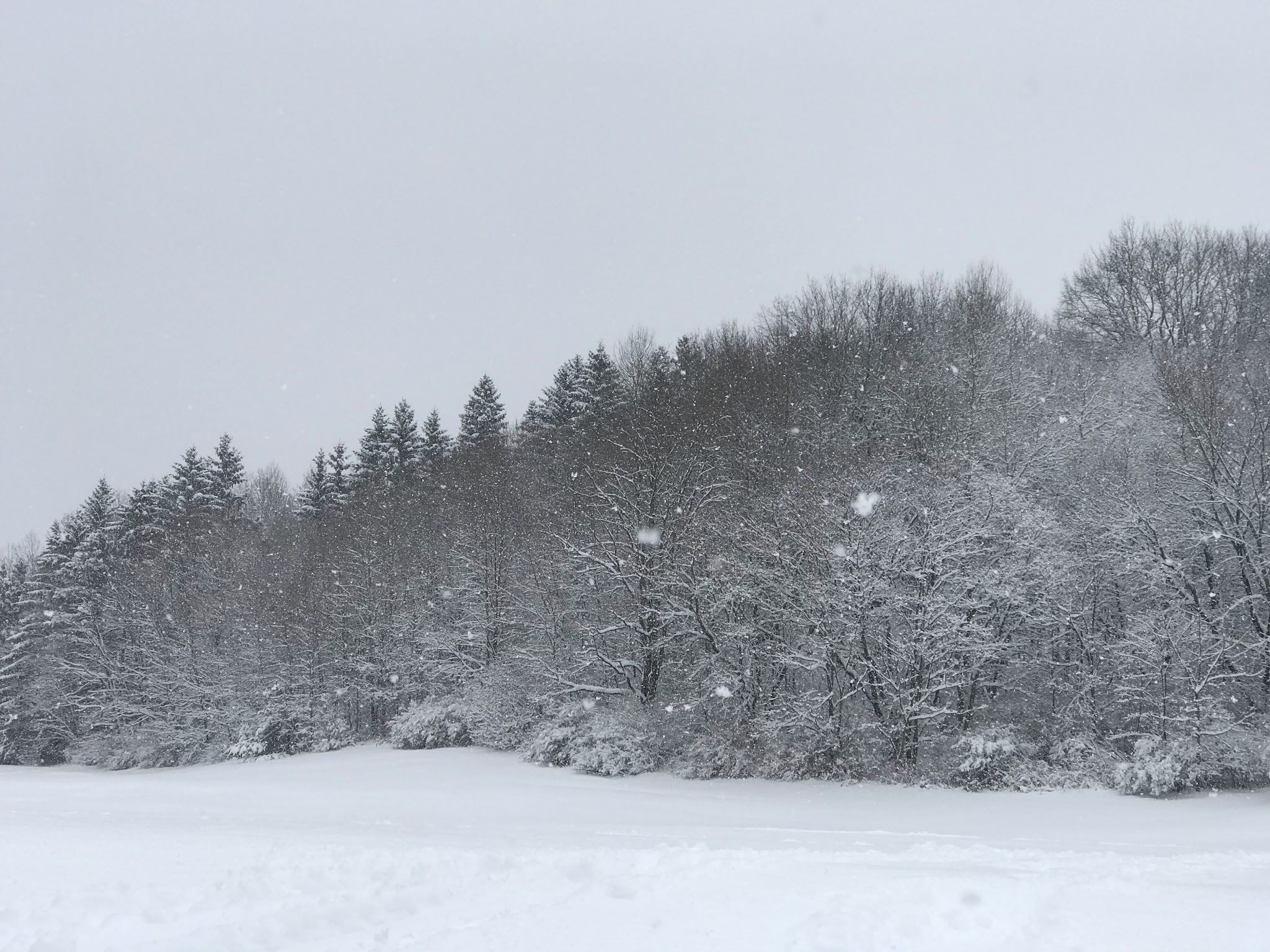 BEAUDRY PARK BLDG - Cortland, NY
