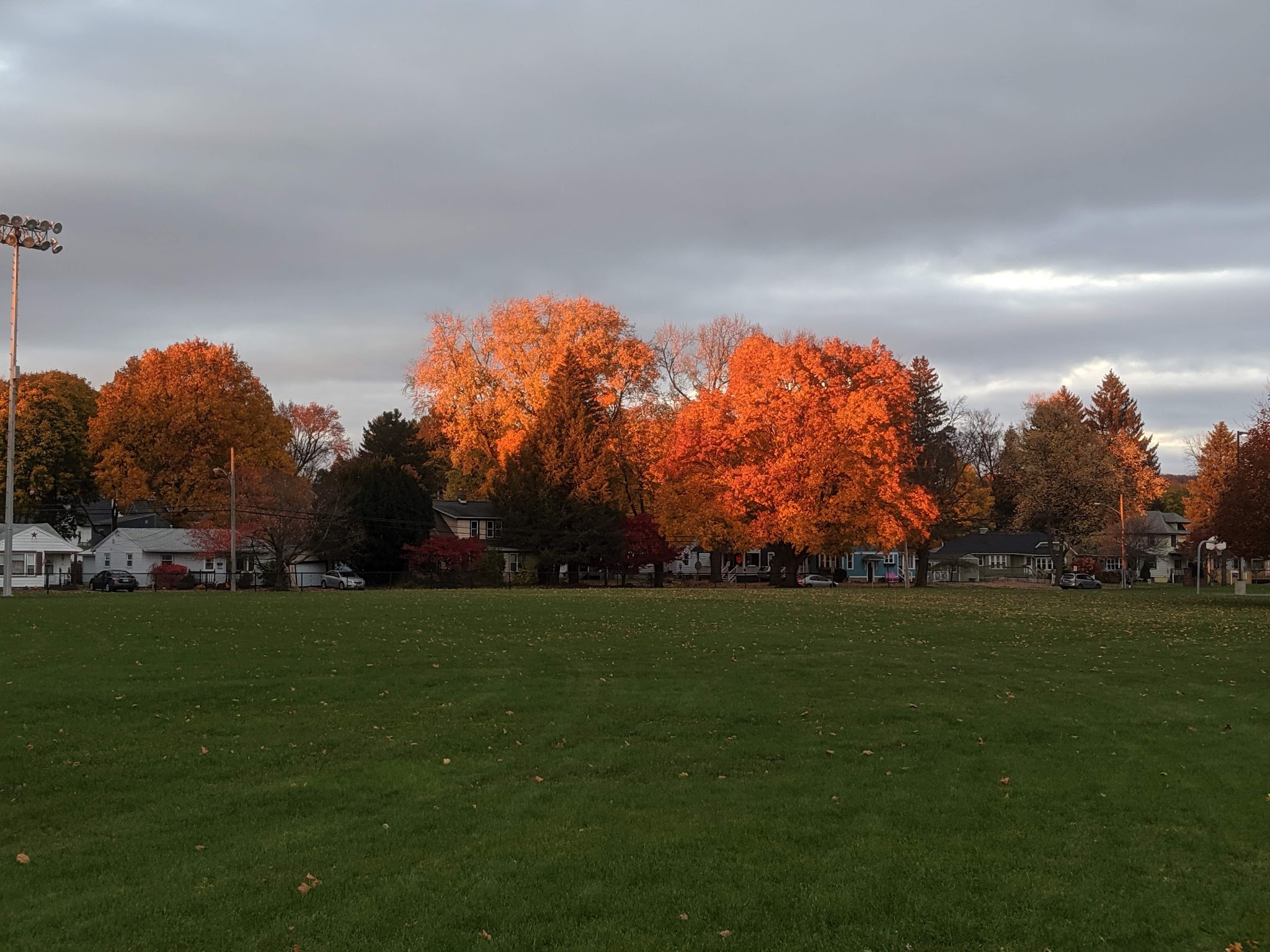 Randall Park - Cortland, NY