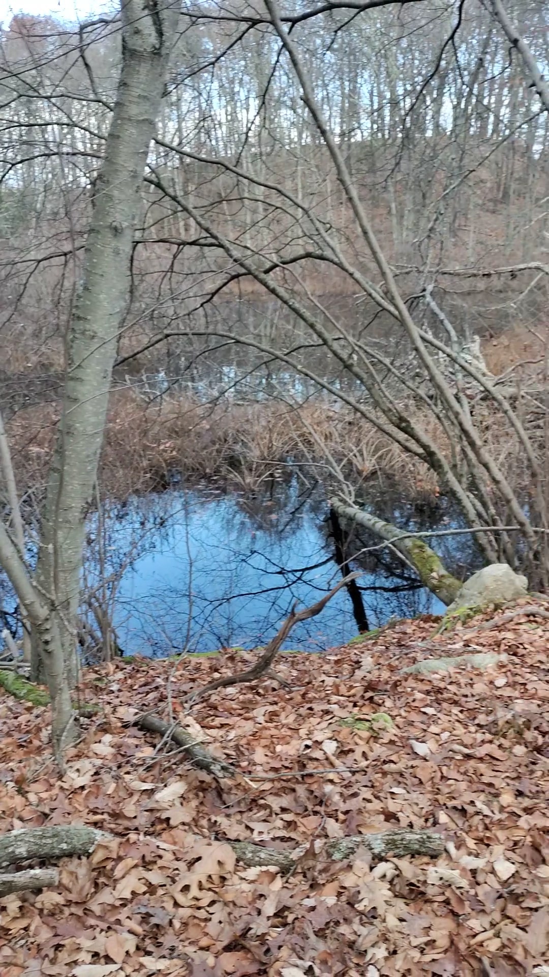 Hudson Highlands Gateway Park Overlook Pond Trailhead - Cortlandt, NY