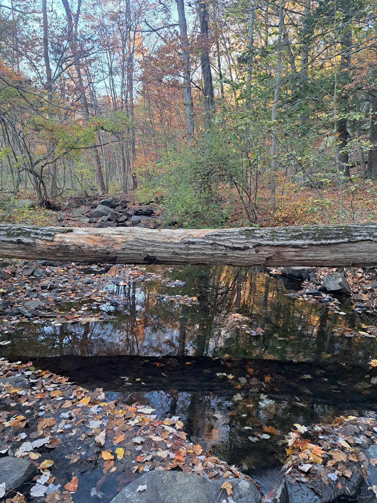 Hudson Highlands Gateway Park Overlook Pond Trailhead - Cortlandt, NY