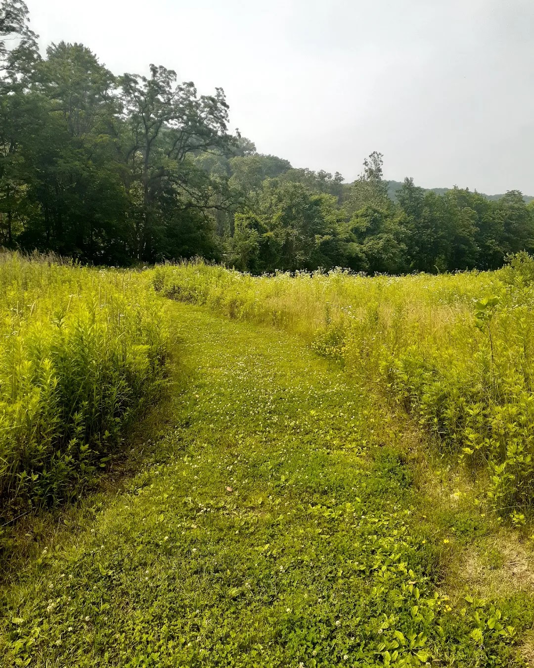 Sprout Brook Park - Cortlandt, NY