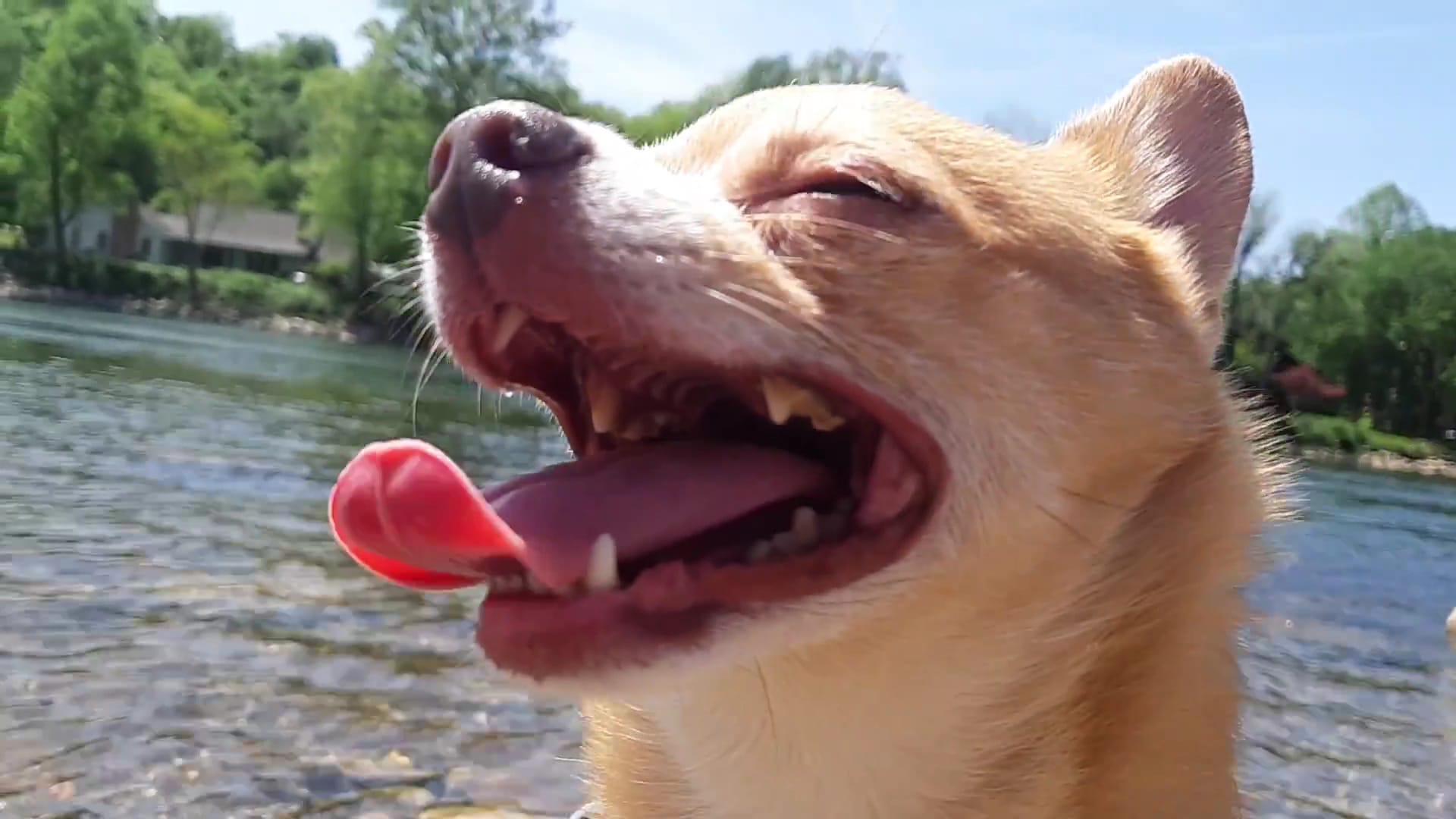 Big Spring Park - Cotter, AR