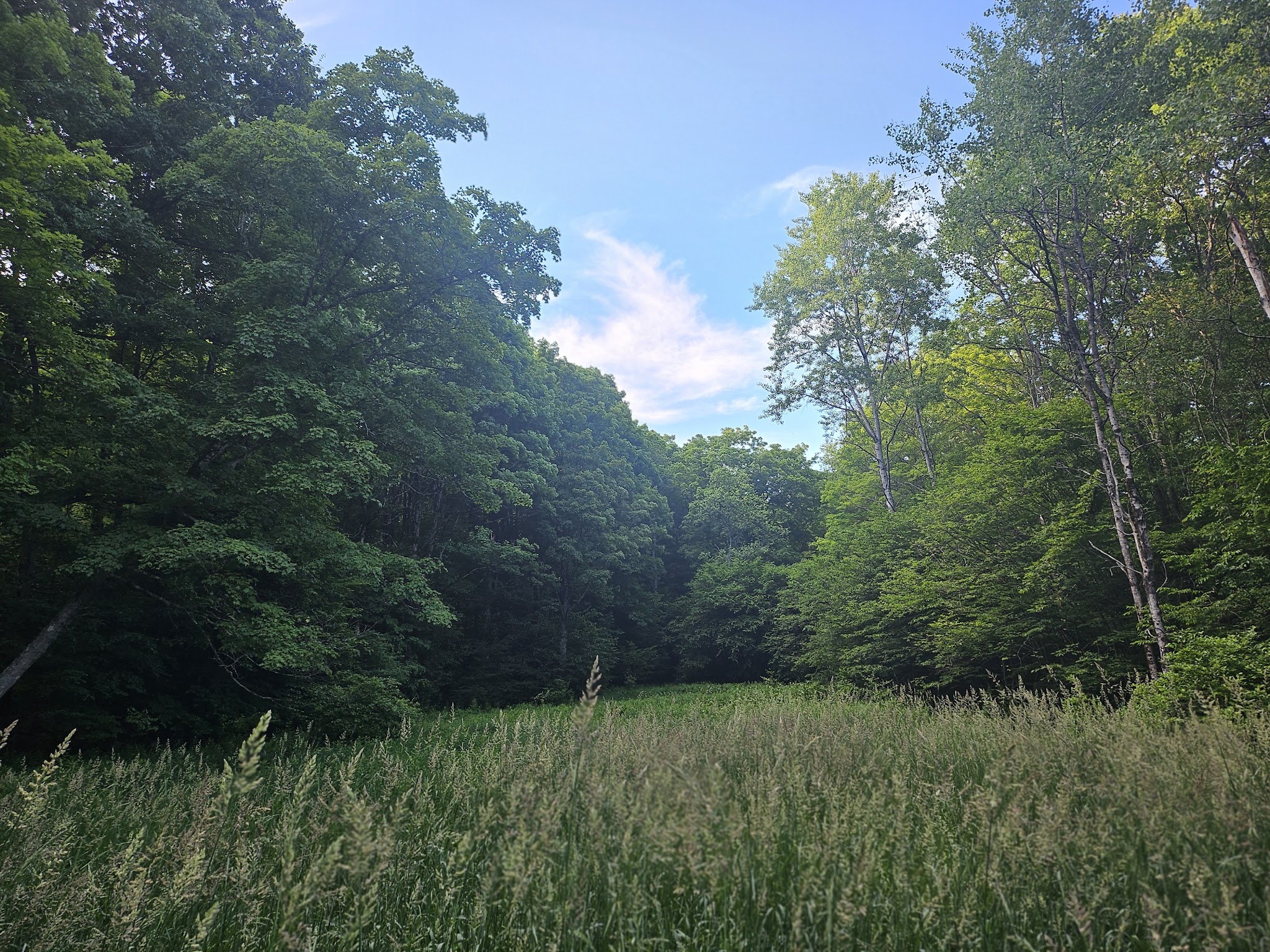 Saulter Preserve - Coudersport, PA