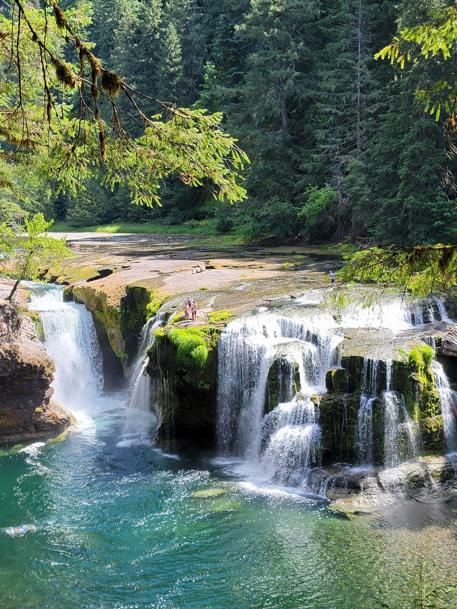 Lewis River Trail - Cougar, WA