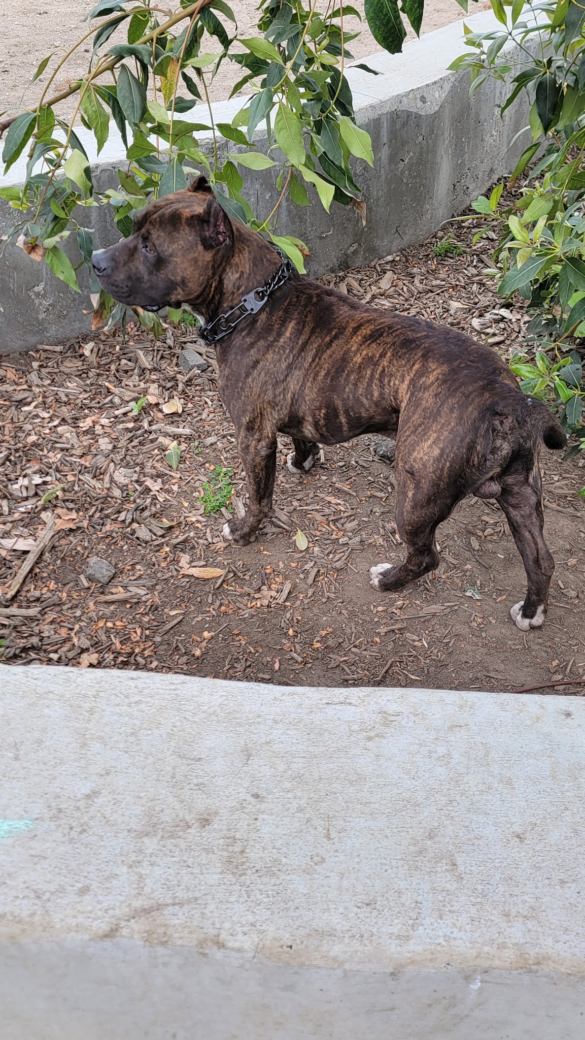 Banna Park - Covina, CA