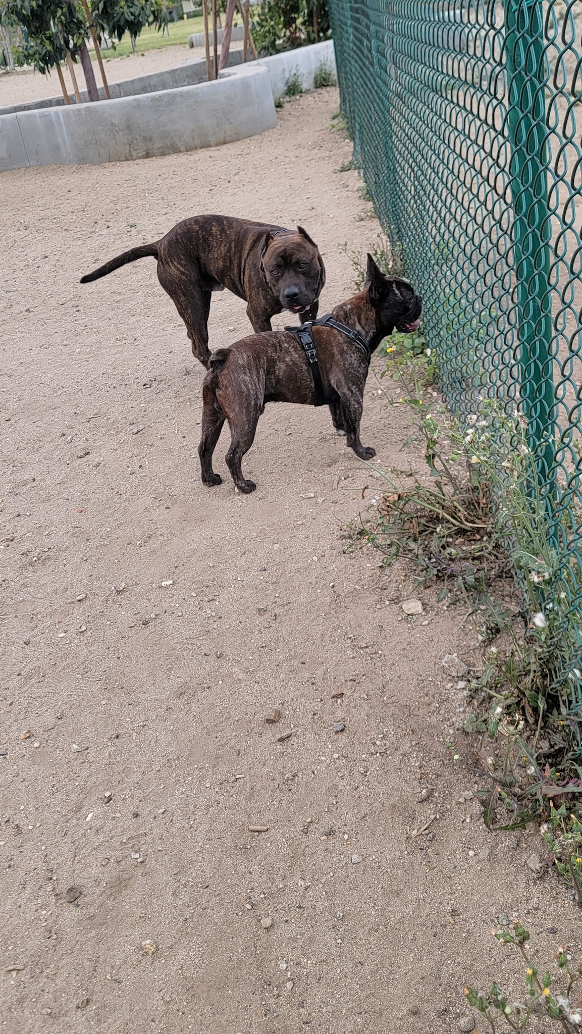 Banna Park - Covina, CA