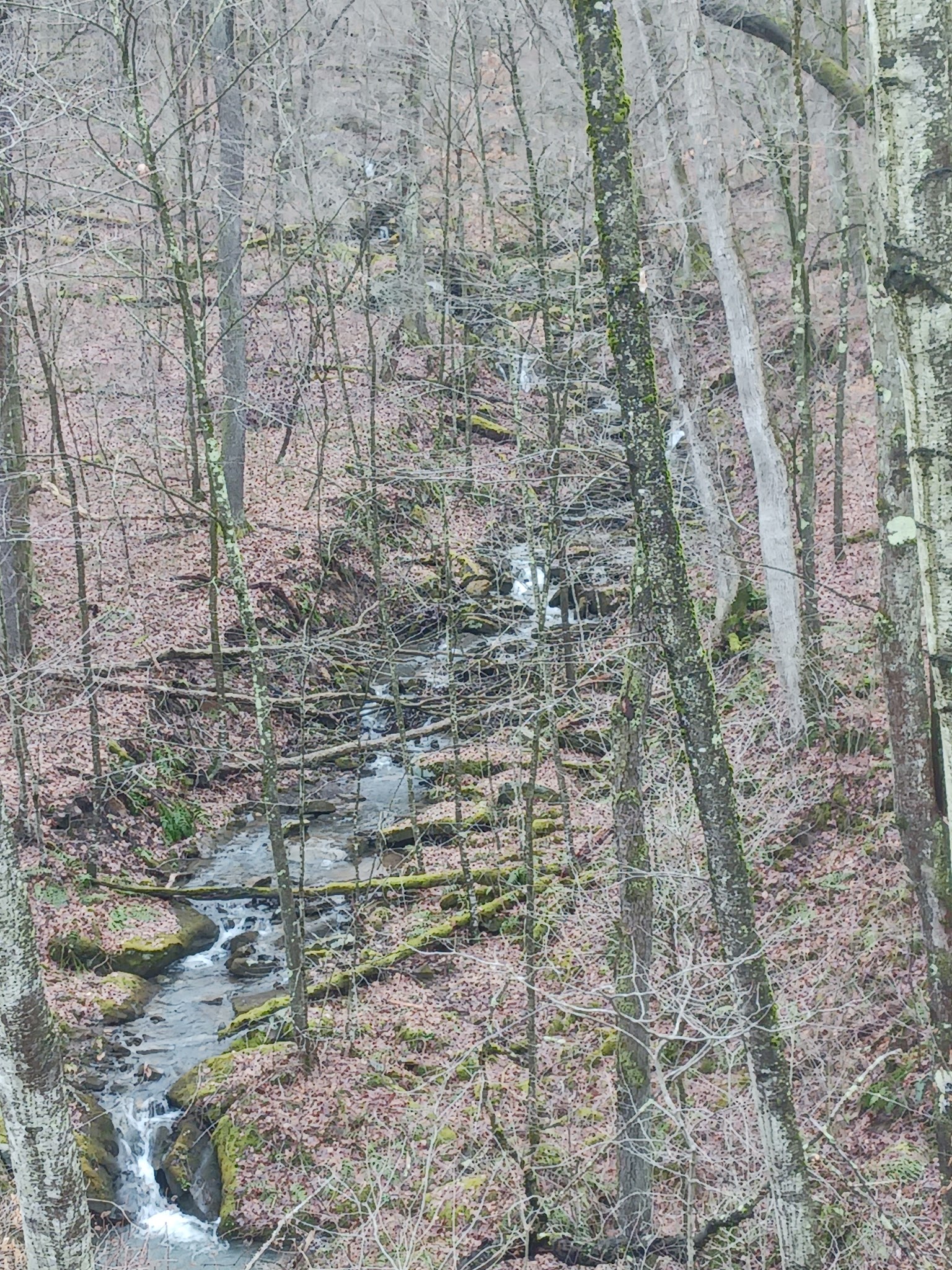 Sandy Creek Trail-Van Trailhead - Cranberry, PA