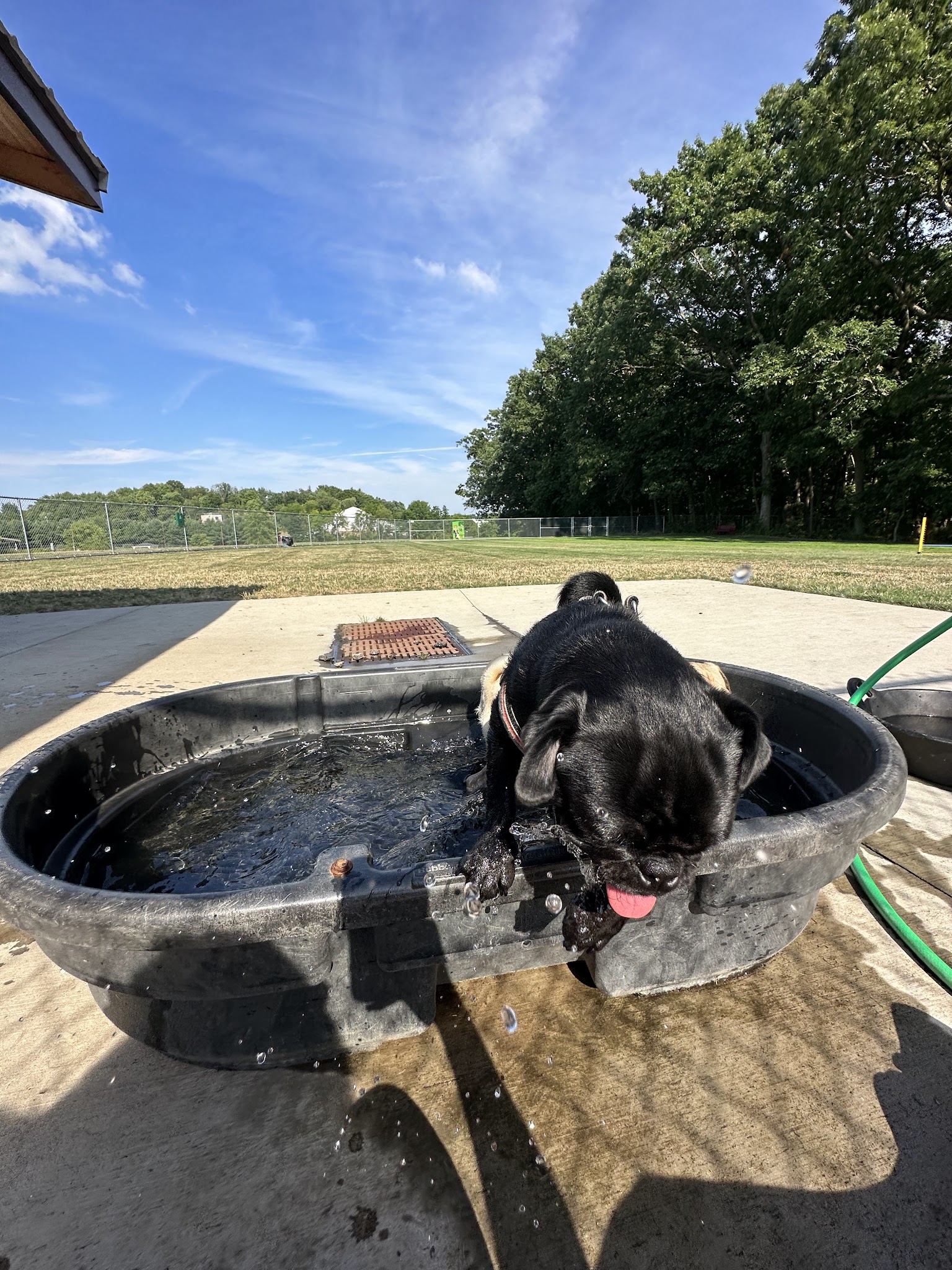 Cranberry Township Dog Park - Cranberry Twp, PA