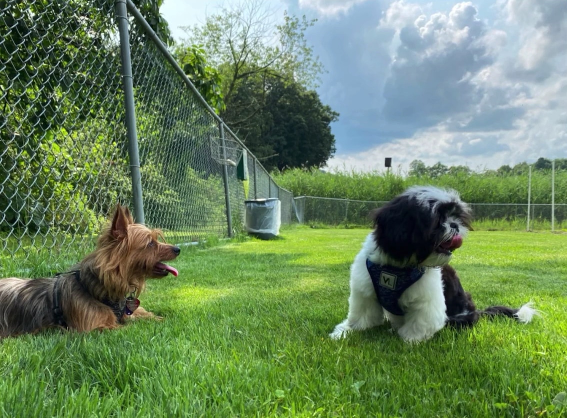 Cranberry Township Dog Park - Cranberry Twp, PA