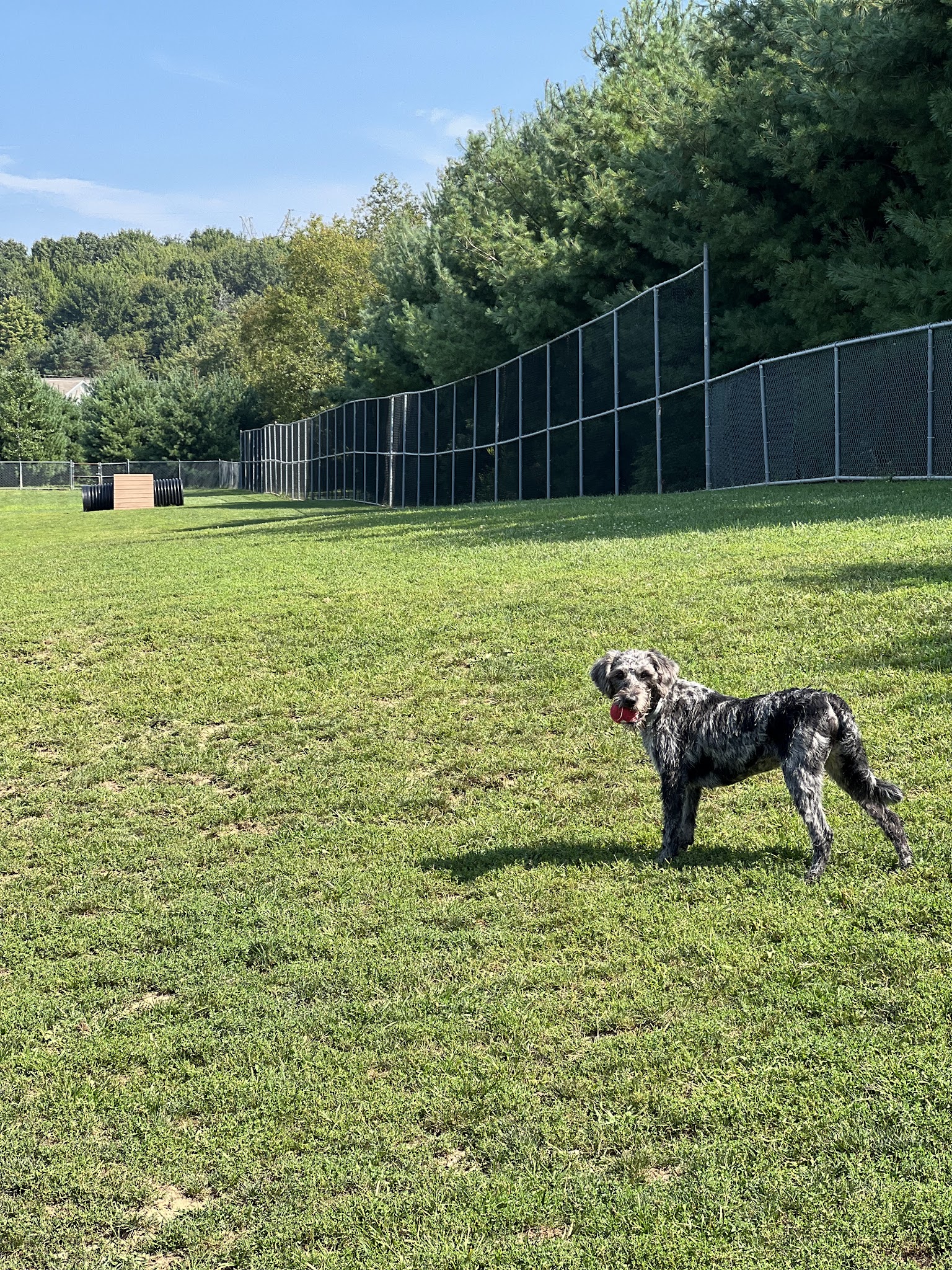Cranberry Township Dog Park - Cranberry Twp, PA