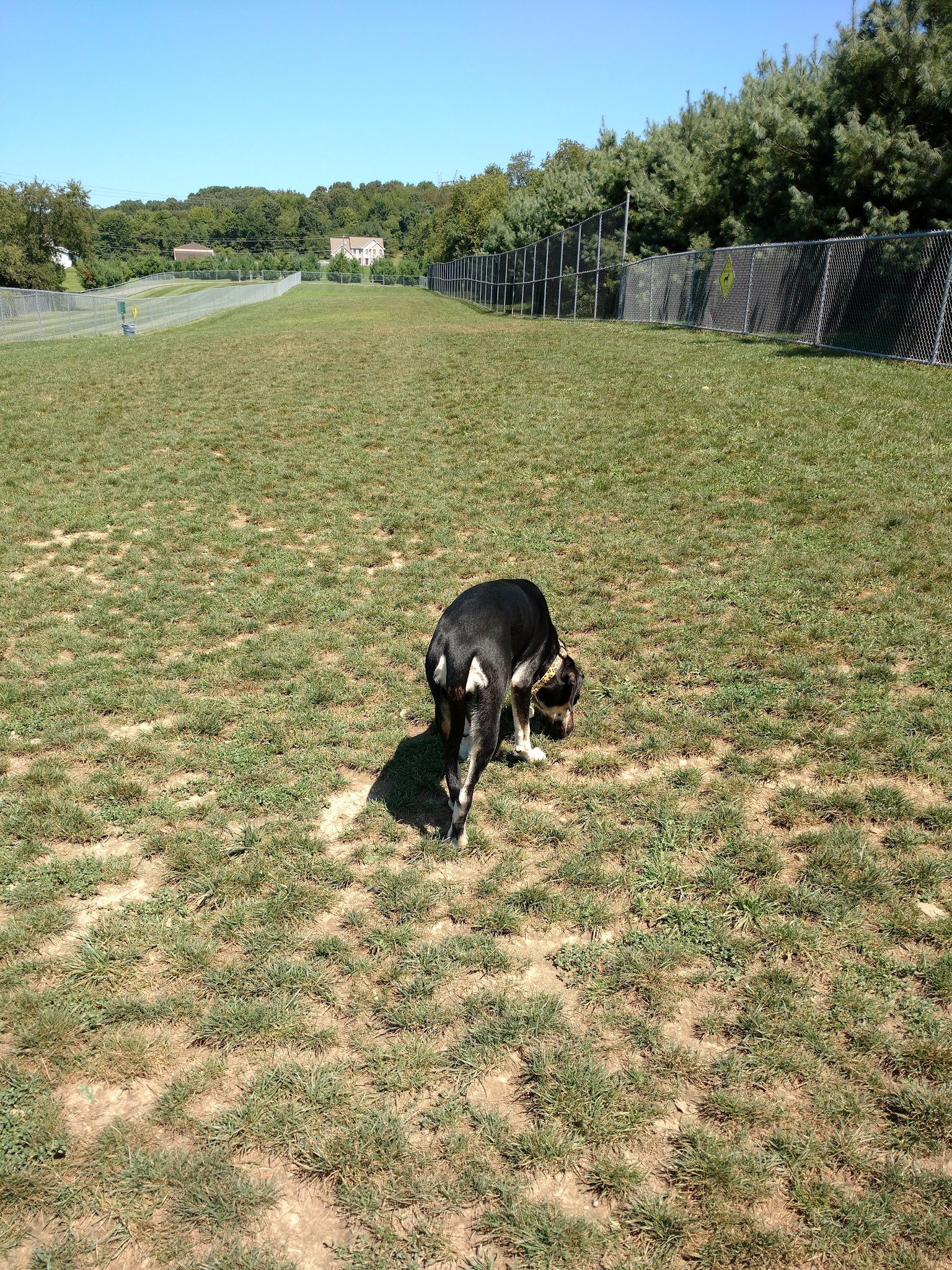 Cranberry Township Dog Park - Cranberry Twp, PA