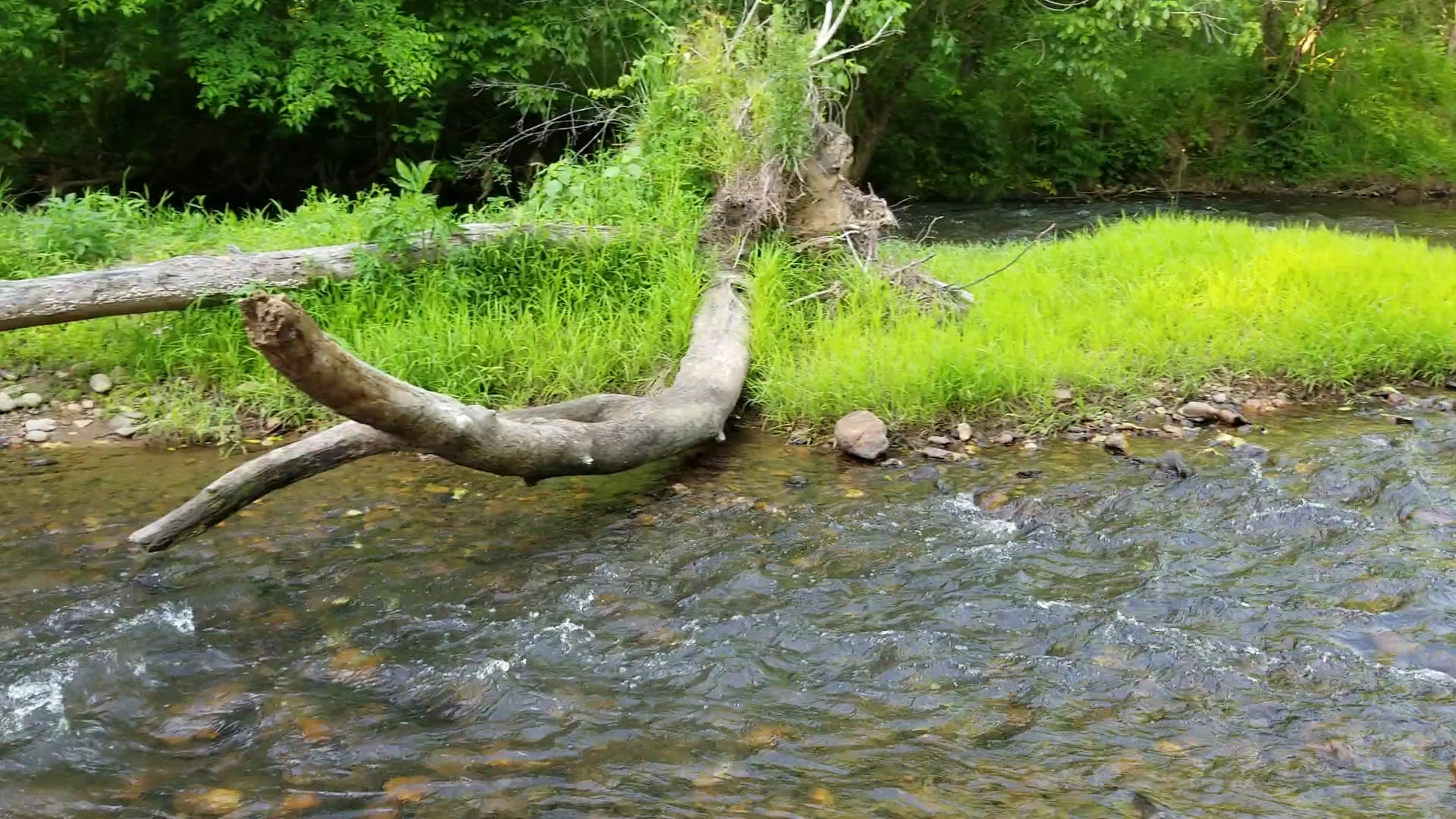 Petty-Fairy Valley Park - Crandall, GA