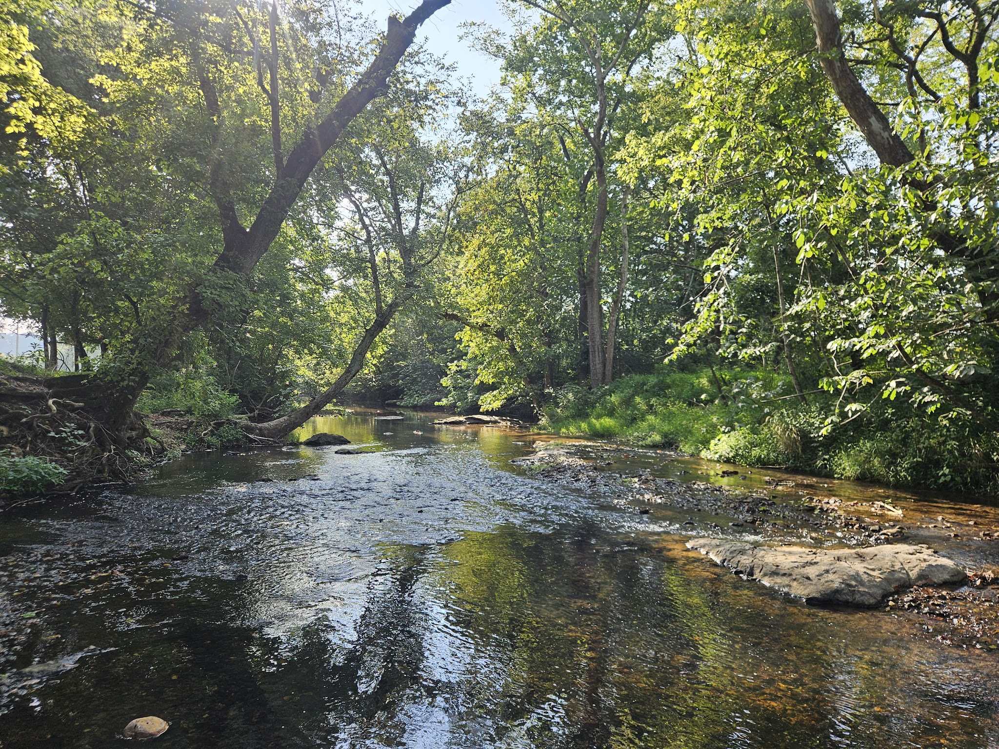 Petty-Fairy Valley Park - Crandall, GA