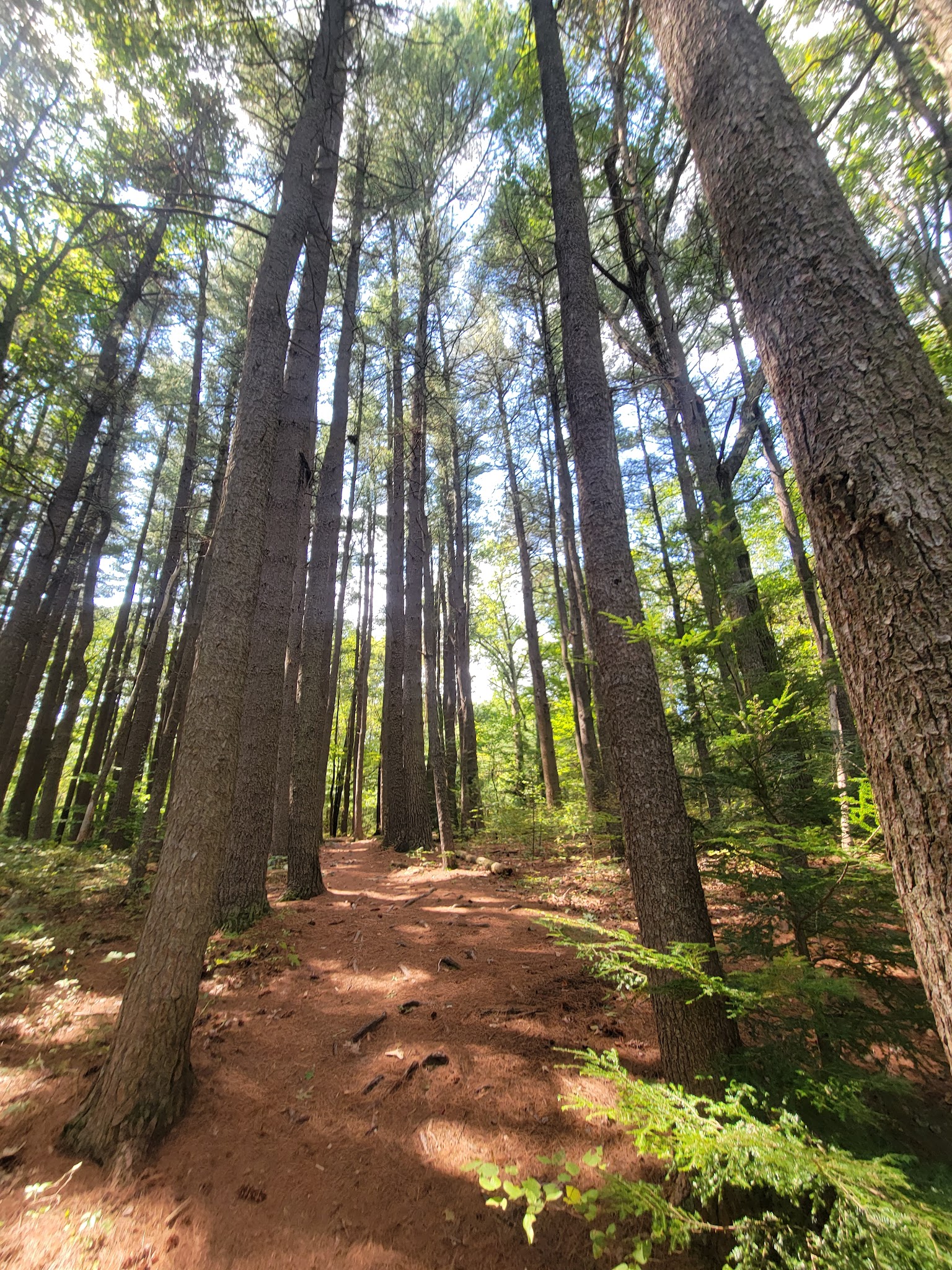 Ice Lake Park - Cresco, PA