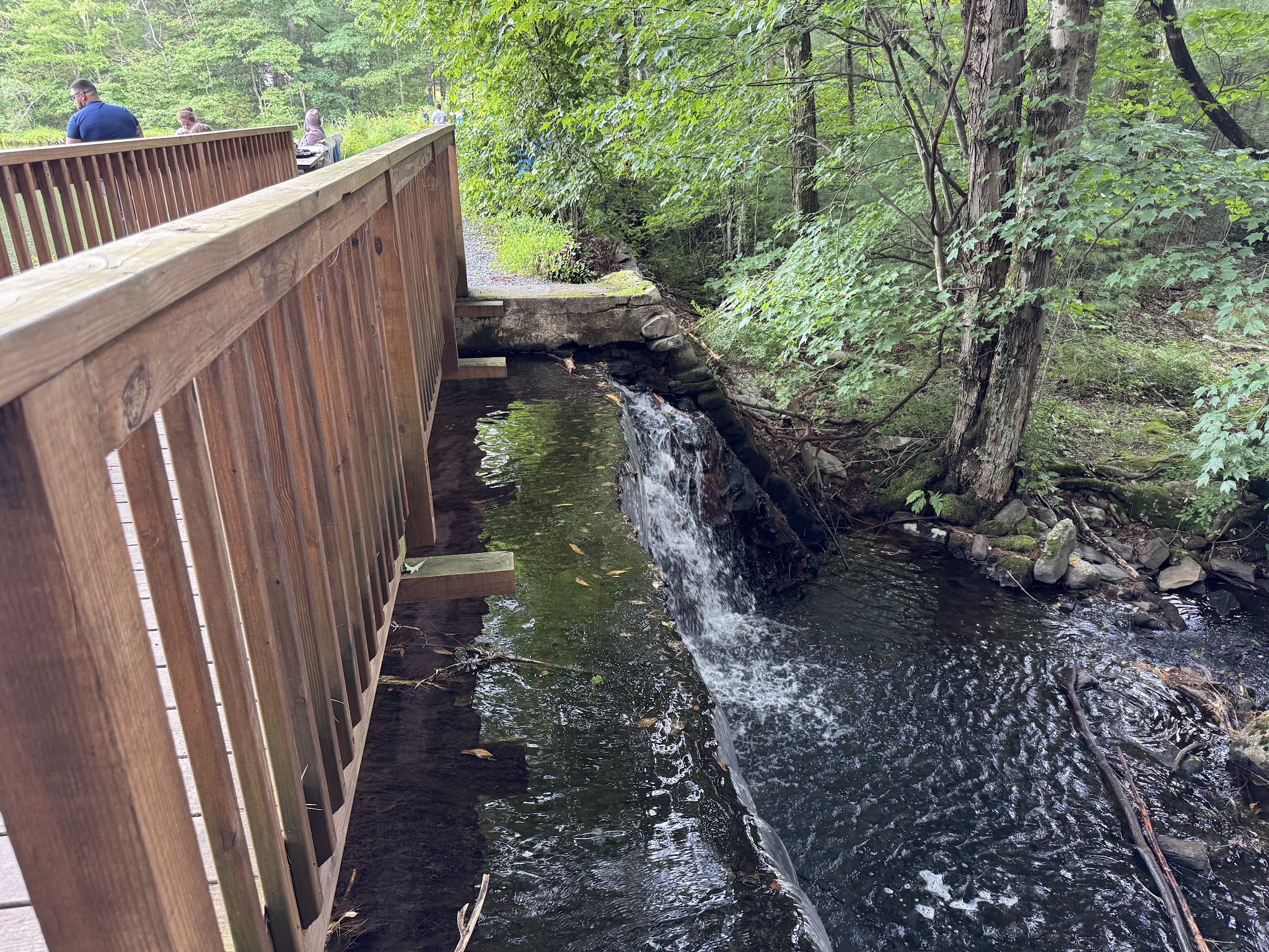 Ice Lake Park - Cresco, PA