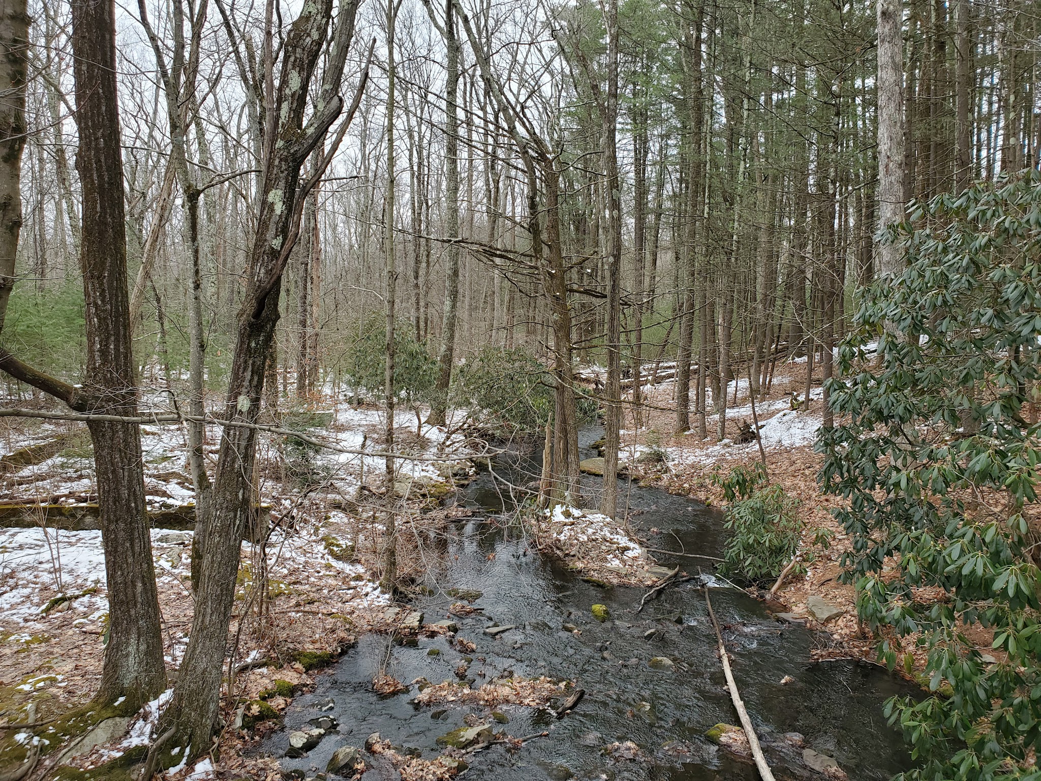 Ice Lake Park - Cresco, PA