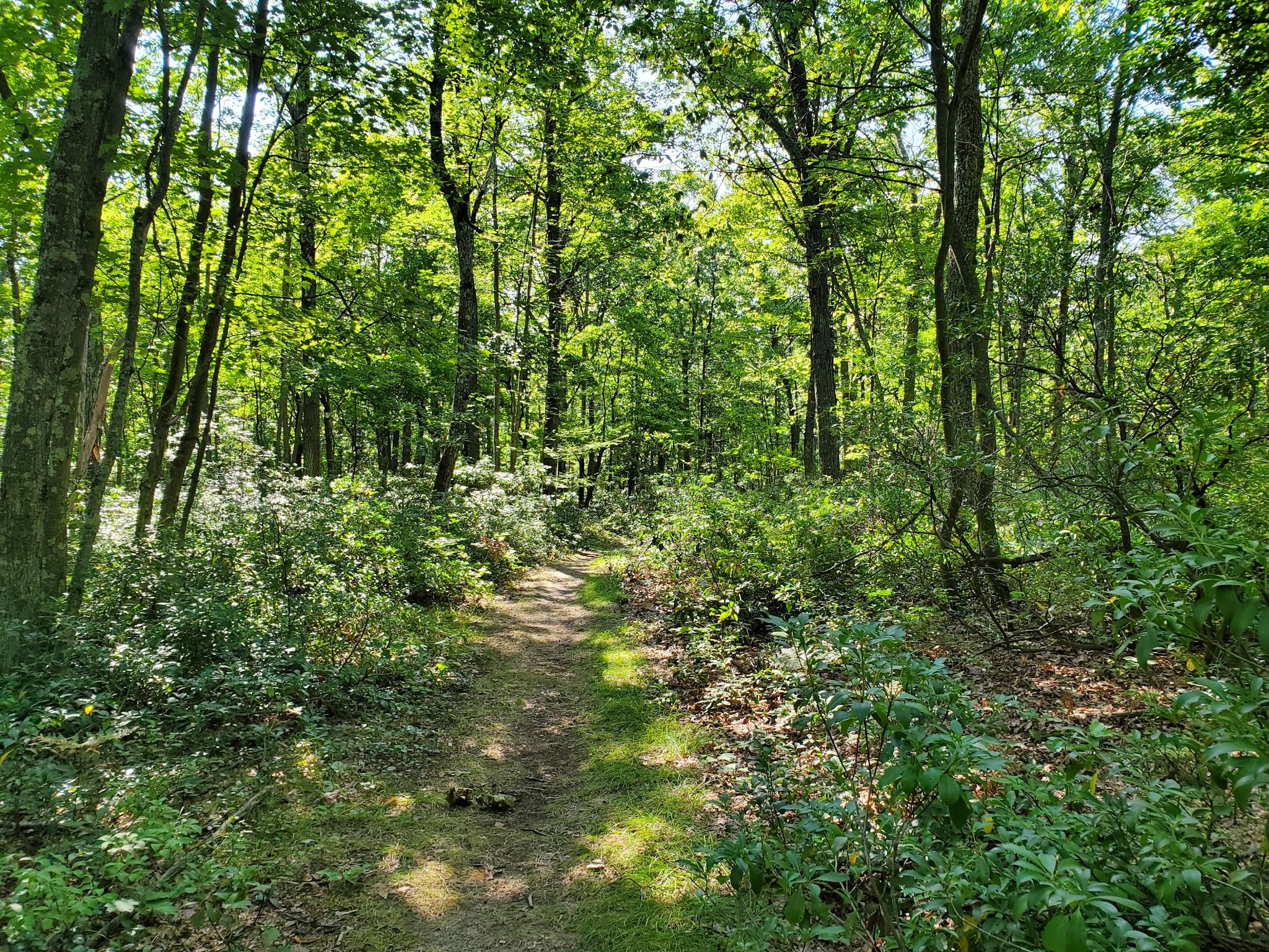 Kurmes Preserve - North Parking Area - Cresco, PA