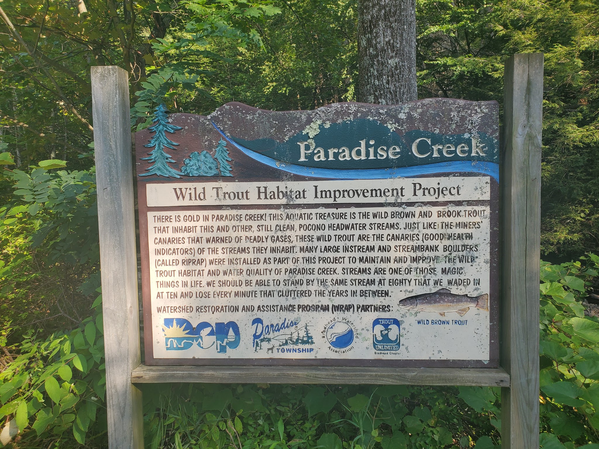 Little Park - Cresco, PA