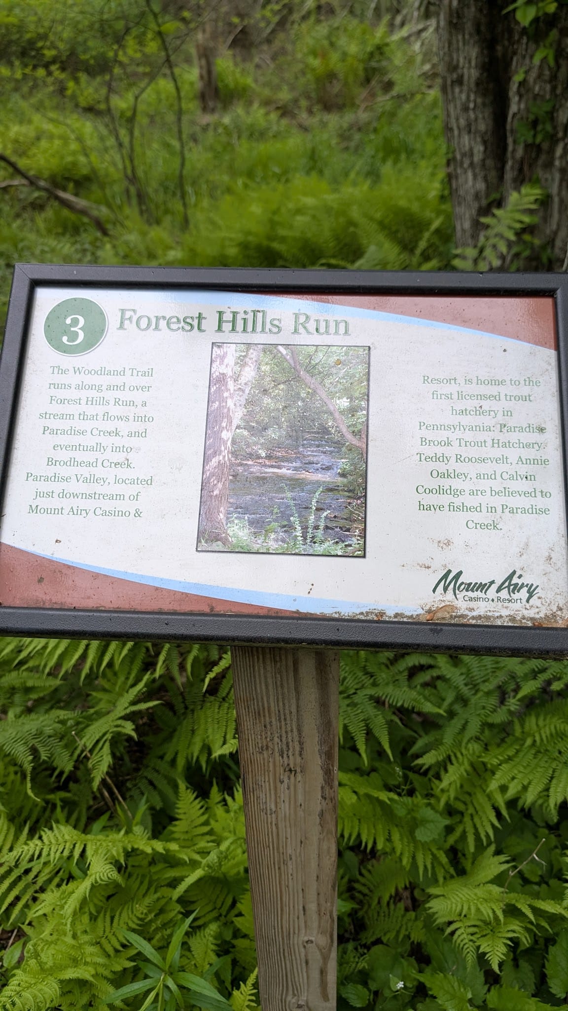 Mount Airy Red Rock Trailhead - Cresco, PA