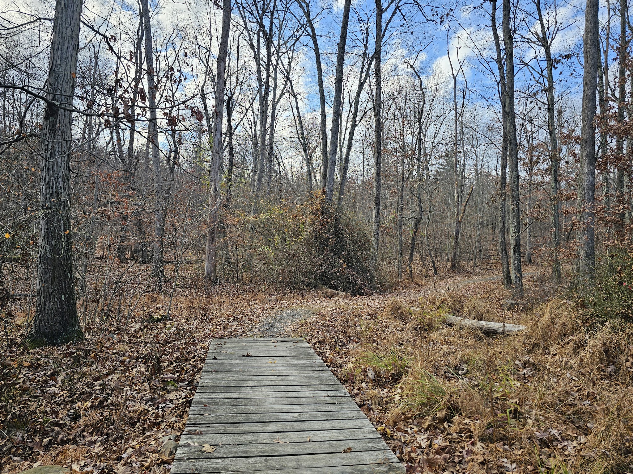 Mount Airy Red Rock Trailhead - Cresco, PA